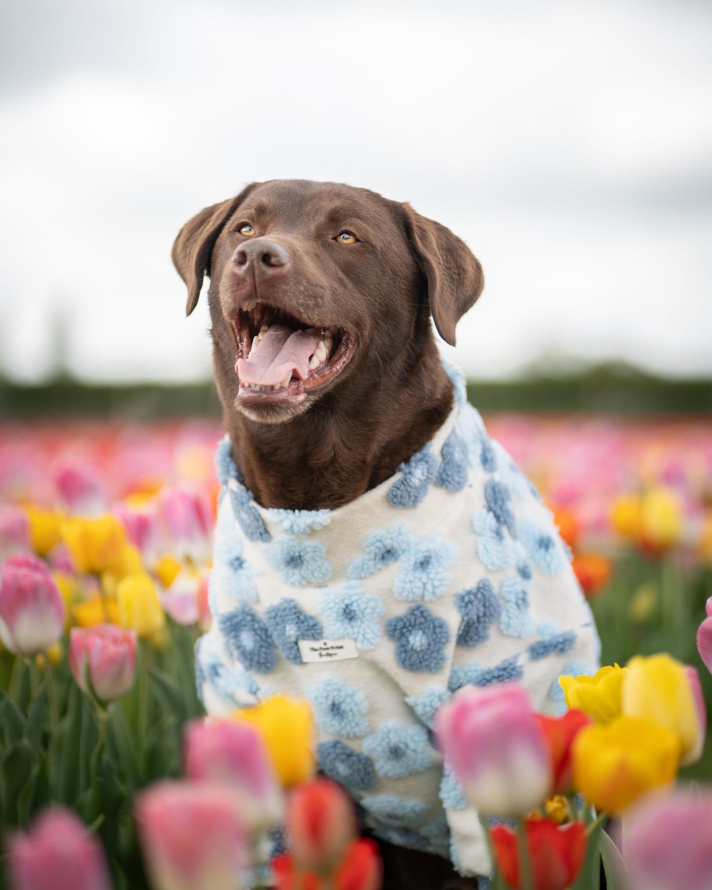 The Bluebell Blue Floral Fleece