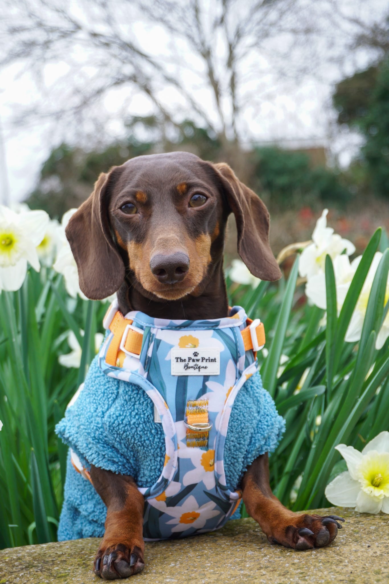 Teddy Fleece - Sky Blue