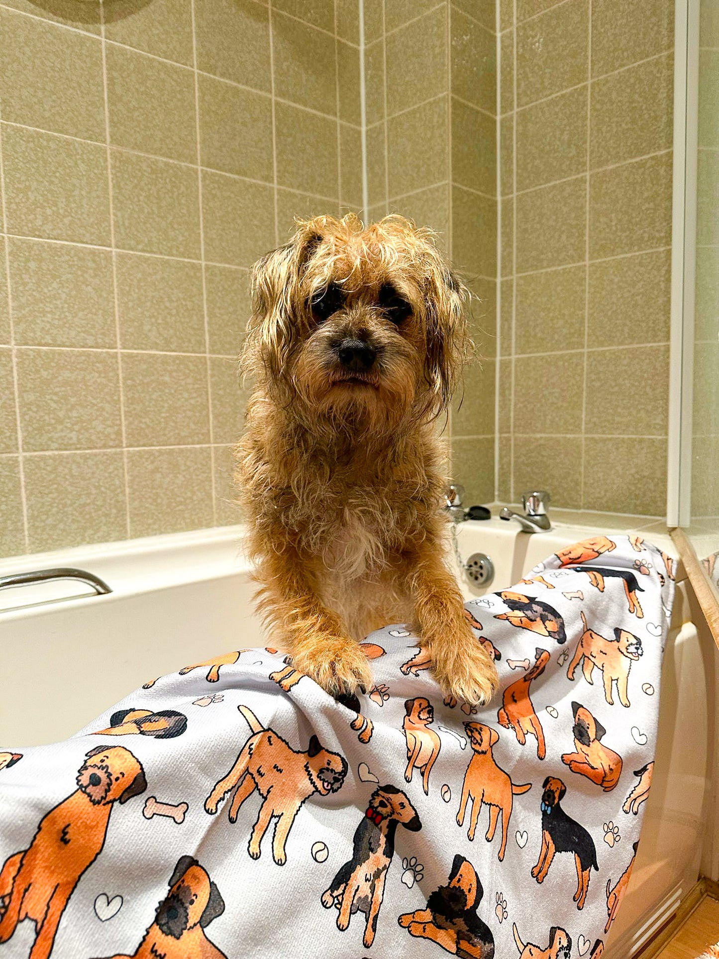 The Border Terrier Dog Towel - Grey