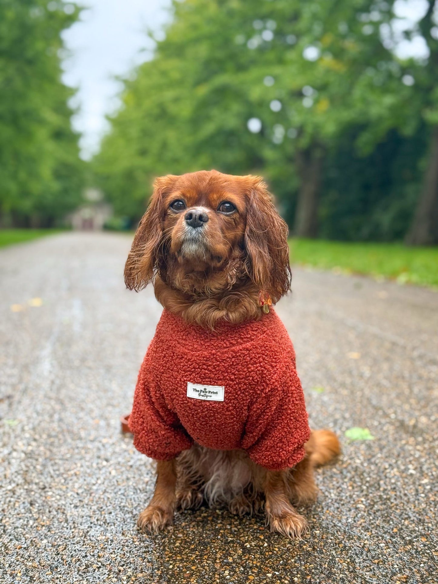 Teddy Fleece - Burnt Orange