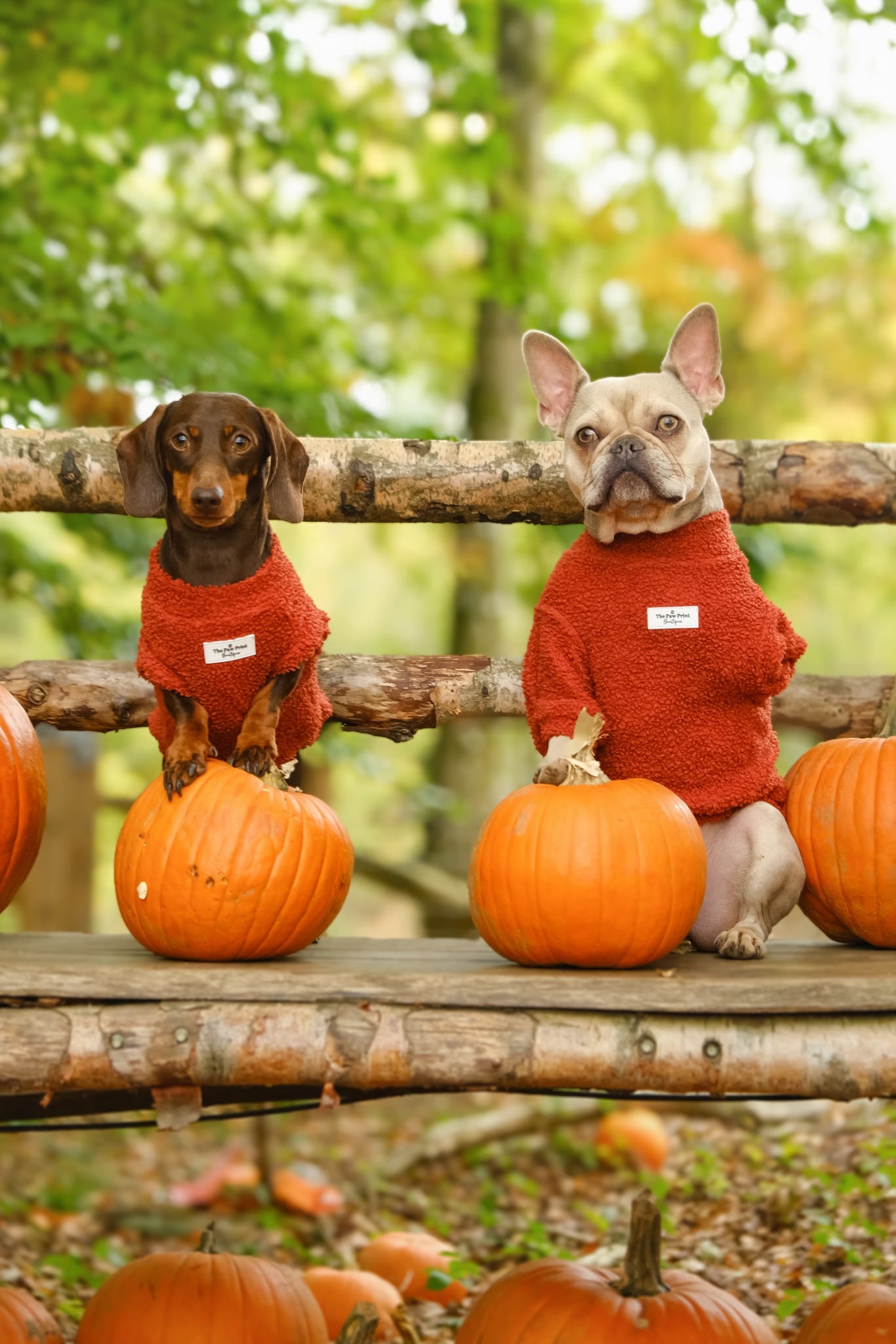 Teddy Fleece - Burnt Orange