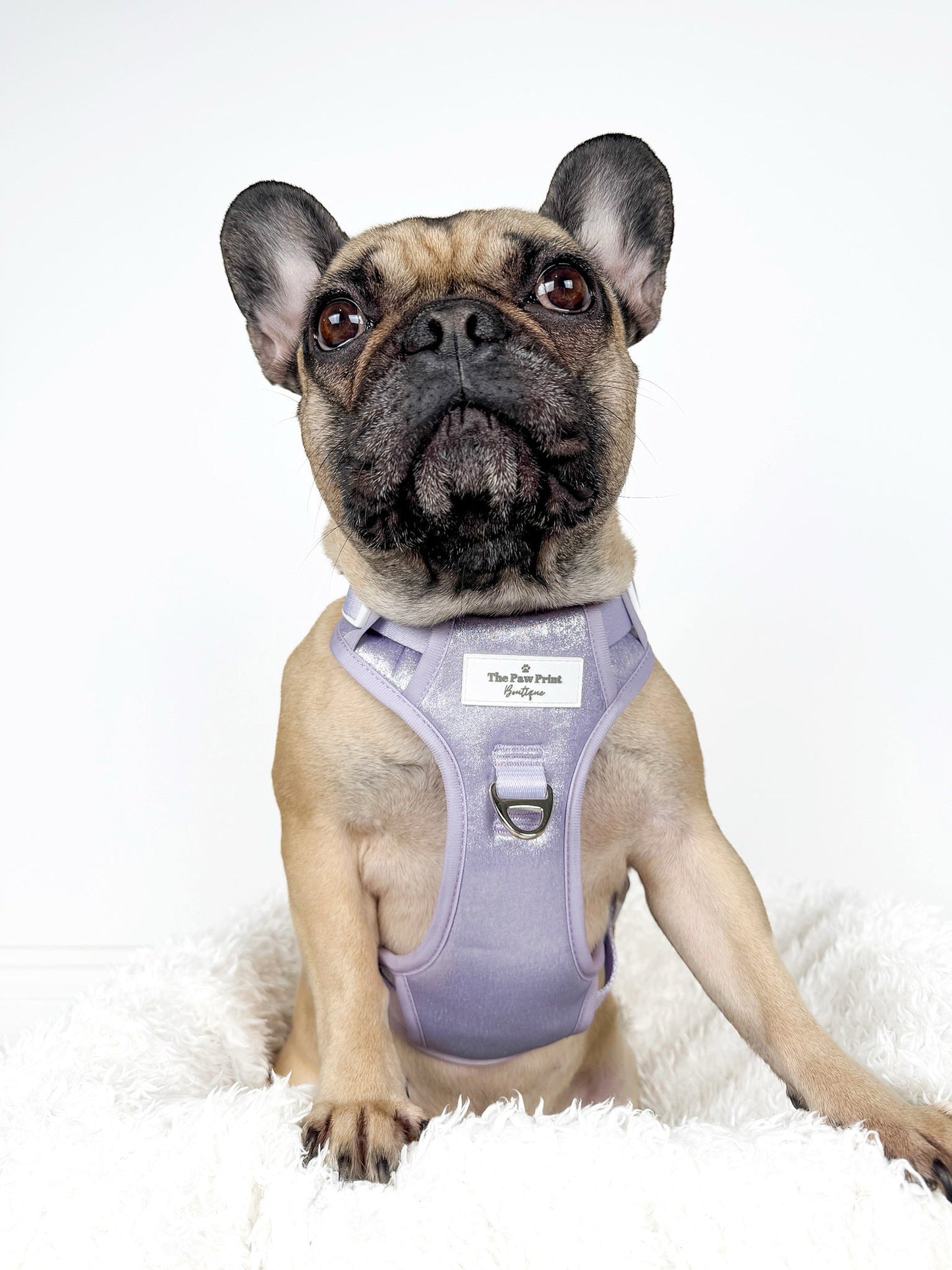 The Lavish Lilac Adventure Paws Harness