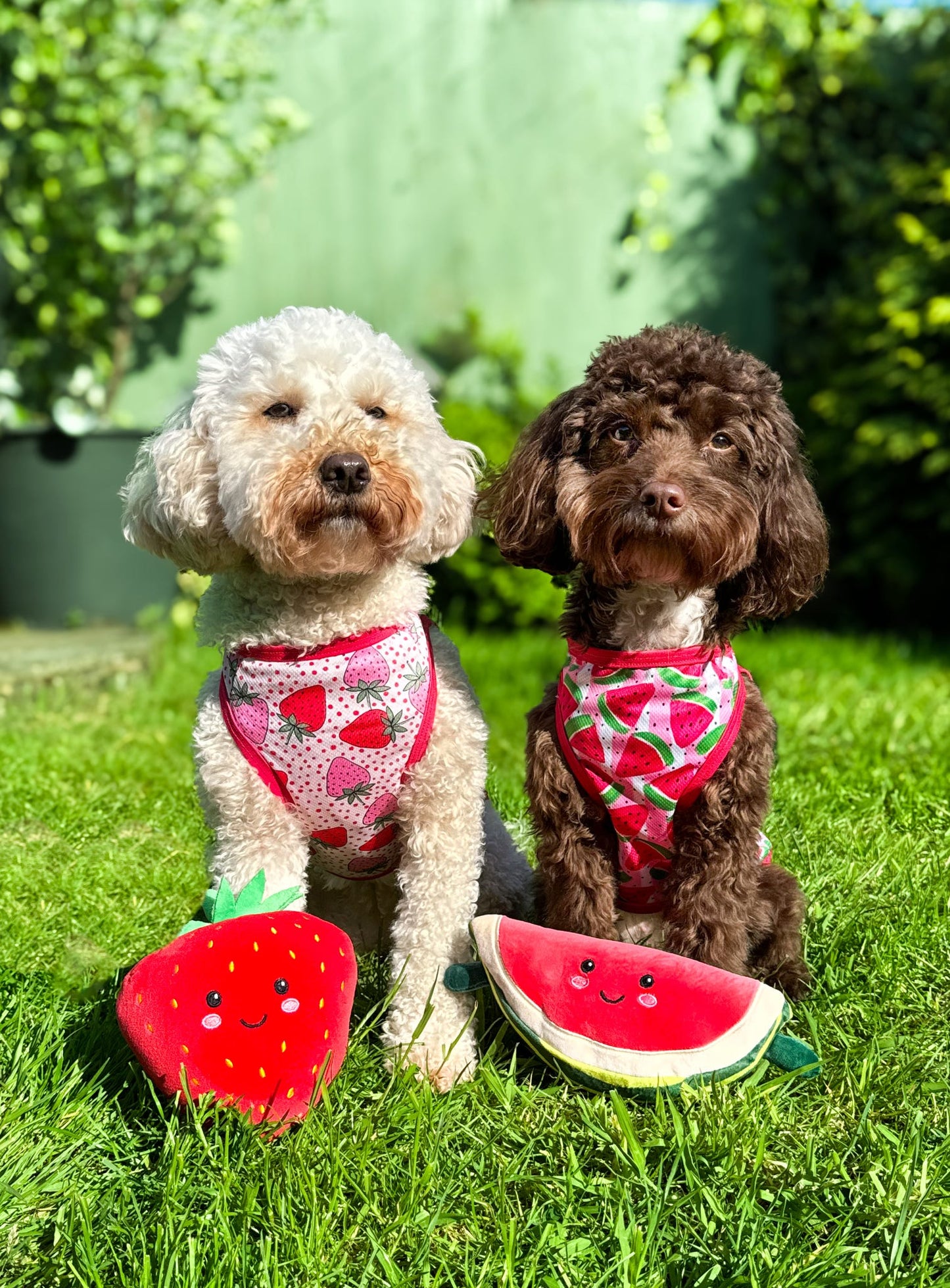 The Watermelon Sugar Cooling Vest