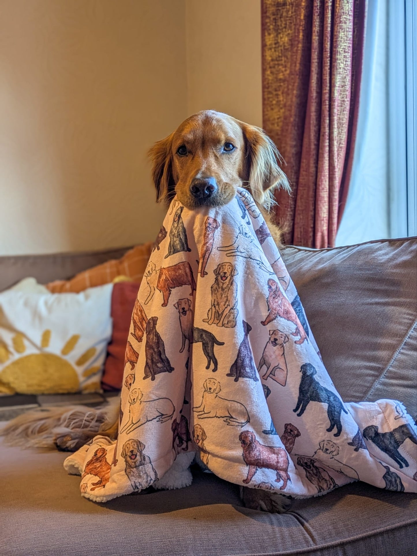 The Labrador / Retriever Dog Blanket