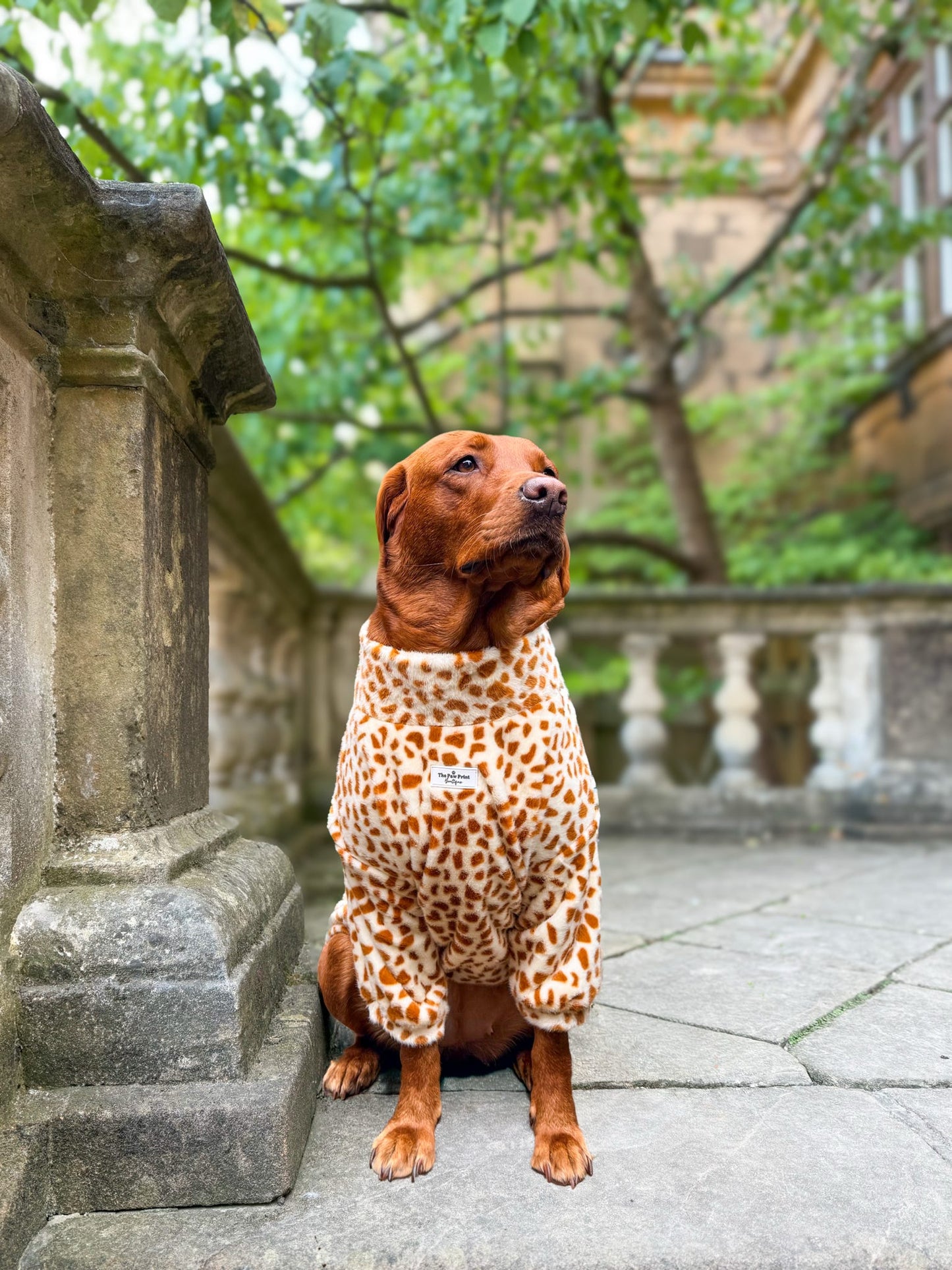 The Giraffe Print Fluffy & Fabulous Fleece