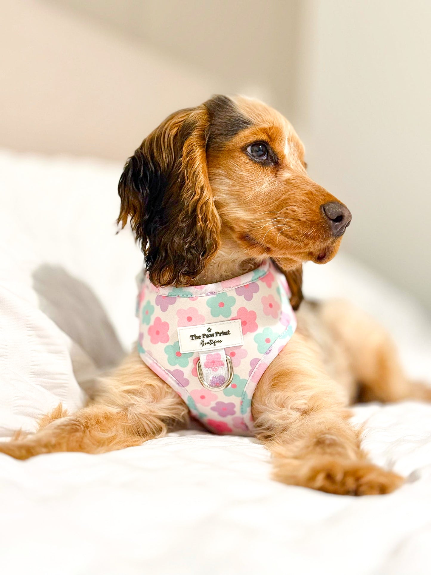 The Flower Power Adjustable Harness