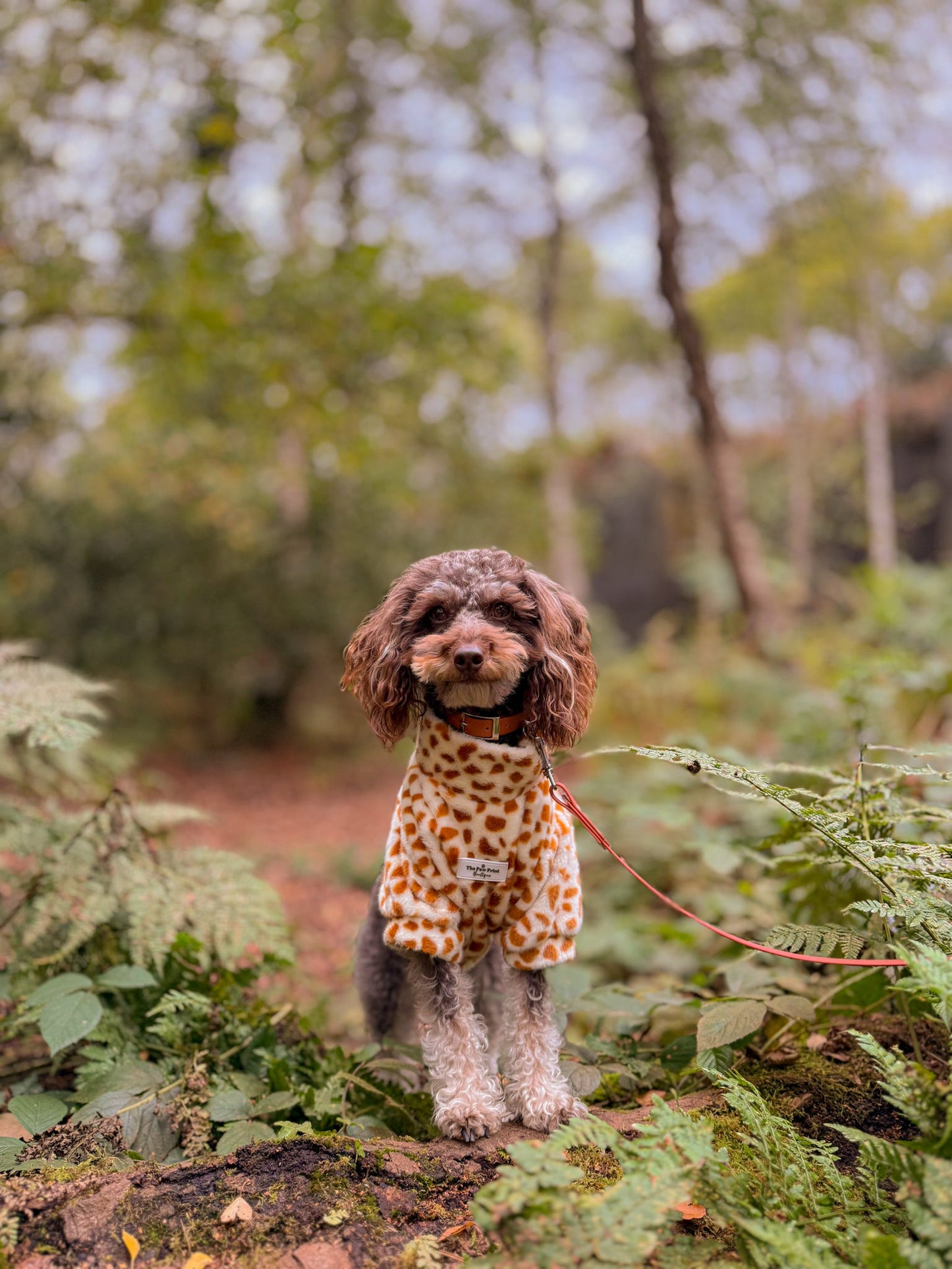 The Giraffe Print Fluffy & Fabulous Fleece