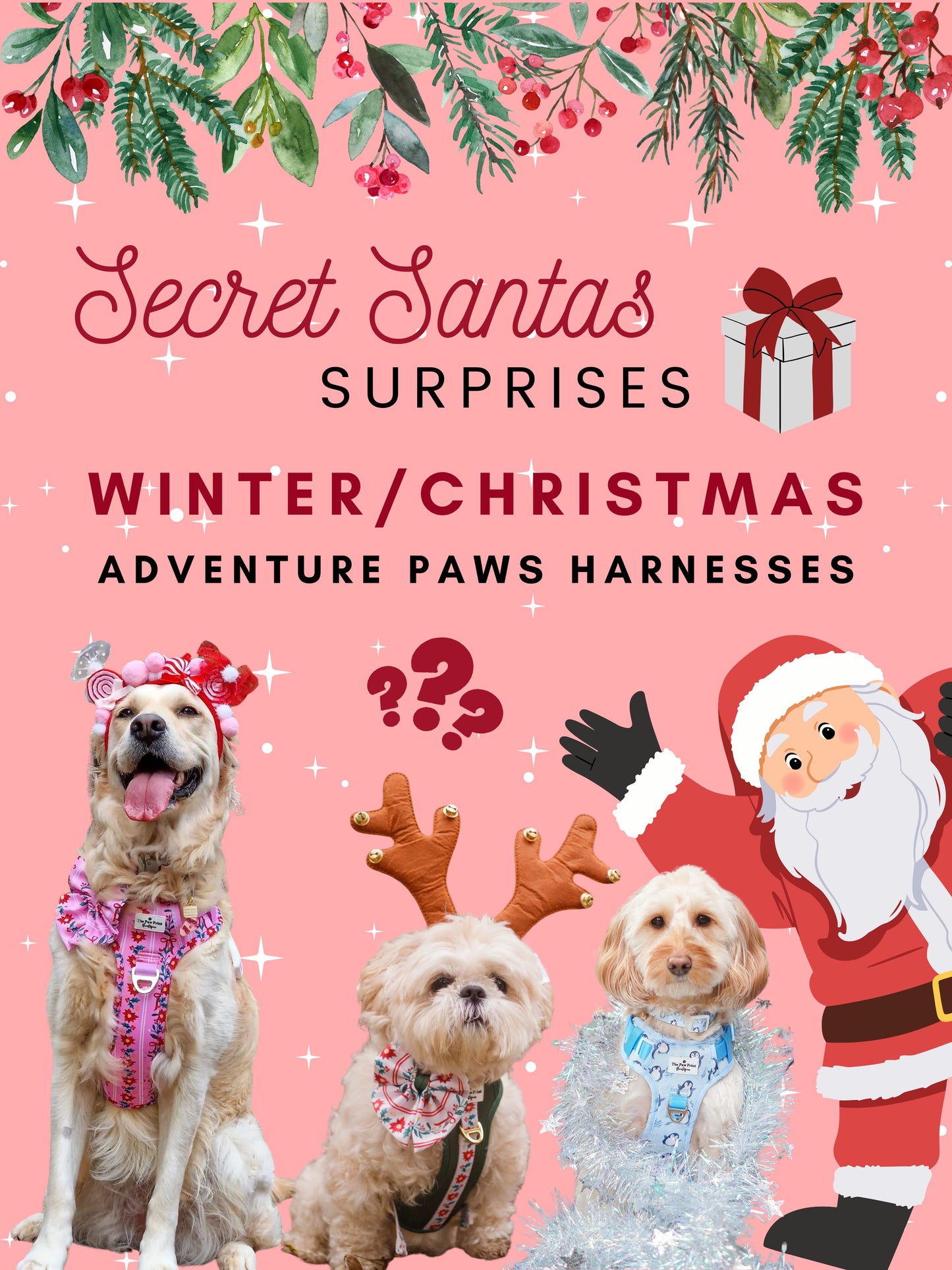 Secret Santas Surprise Winter/Christmas Harness - (Adventure Paws Style)
