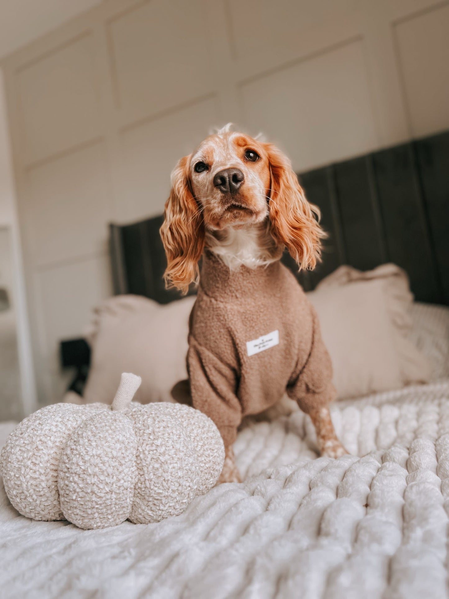 Teddy Fleece - Biscuit