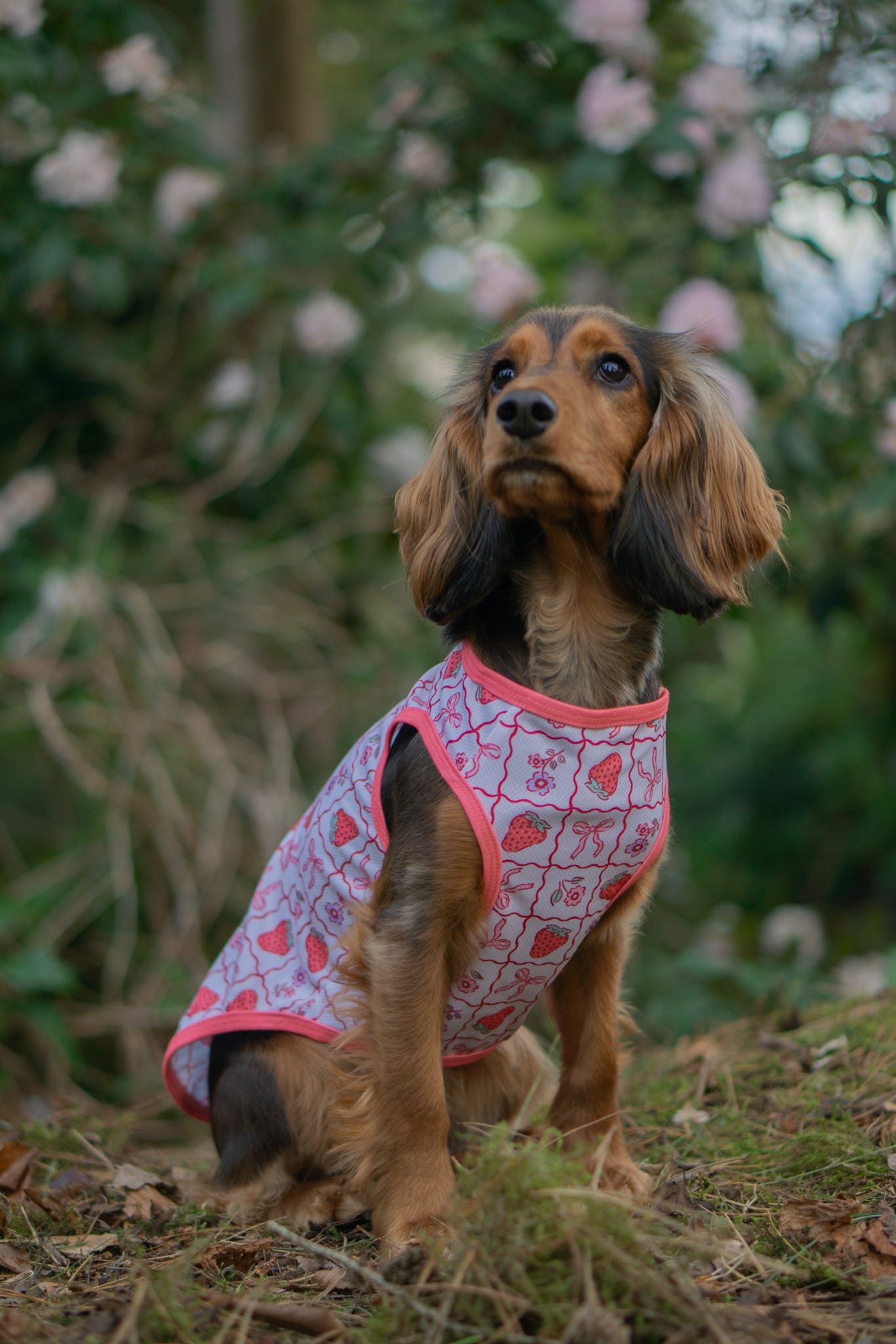 The Bows & Berries Cooling Vest