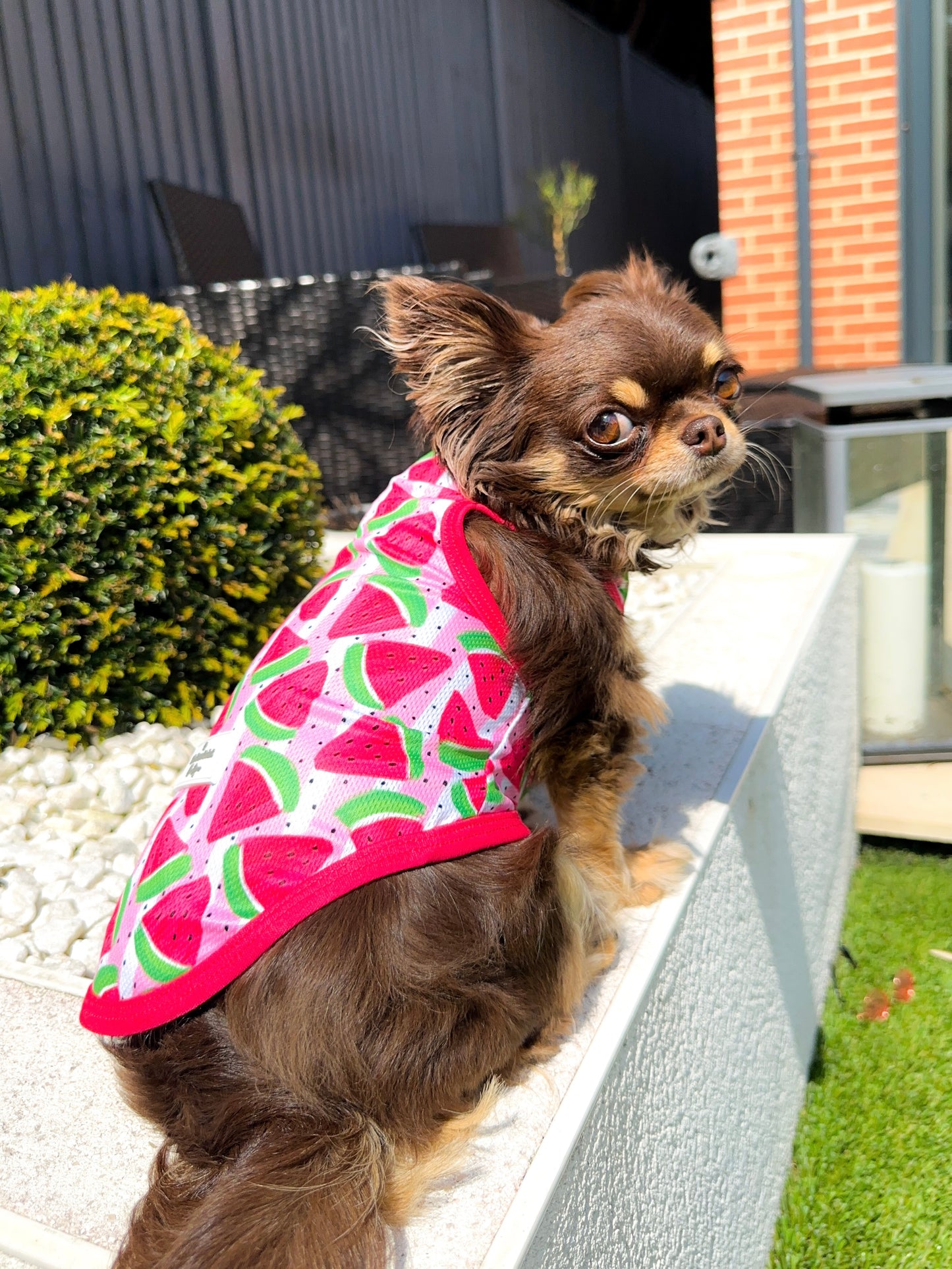 The Watermelon Sugar Cooling Vest