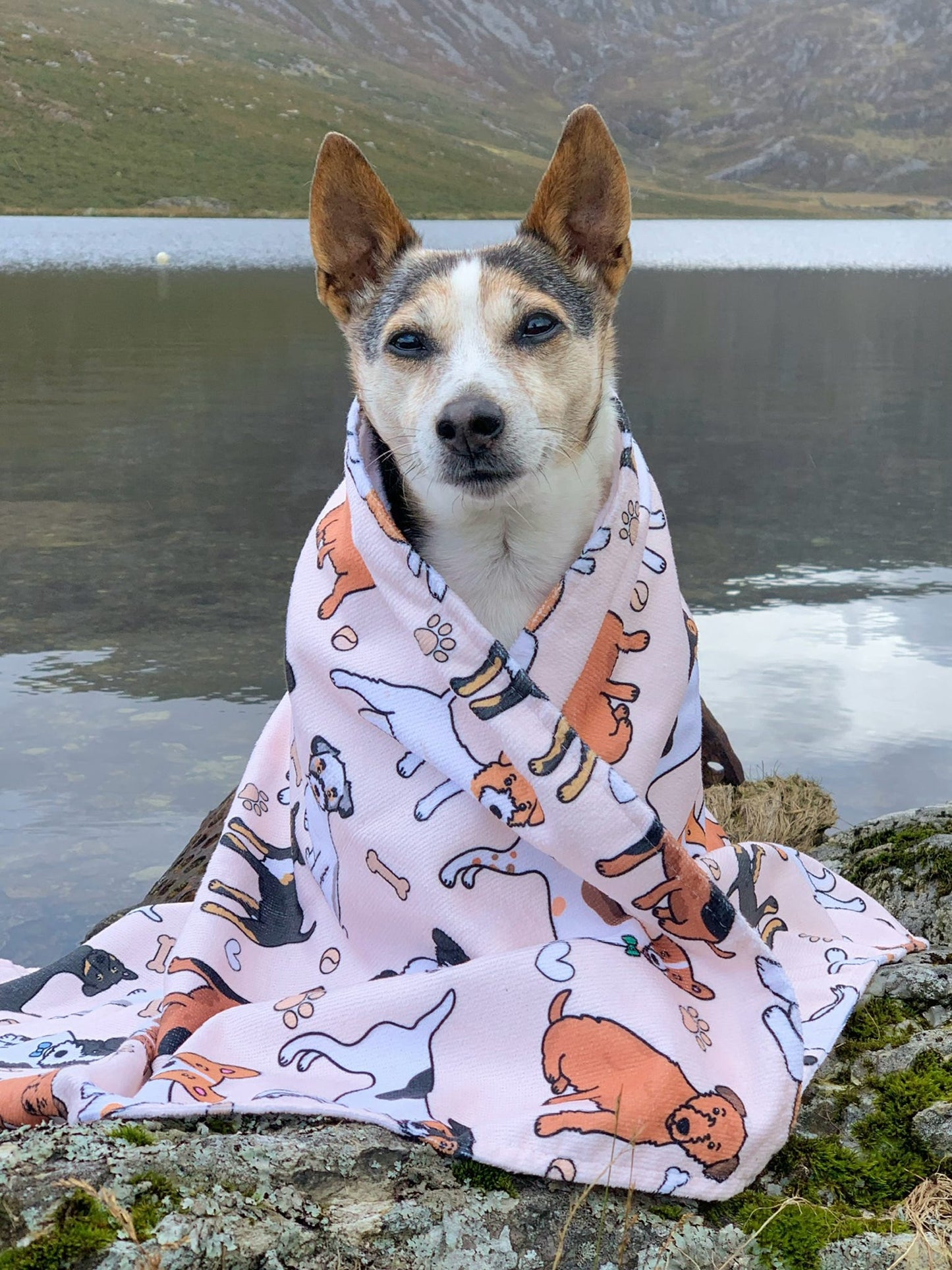 The Jack Russell Dog Towel - Beige