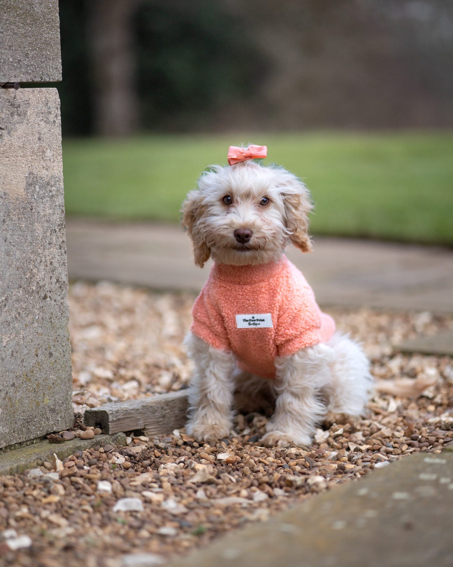 Teddy Fleece - Peach