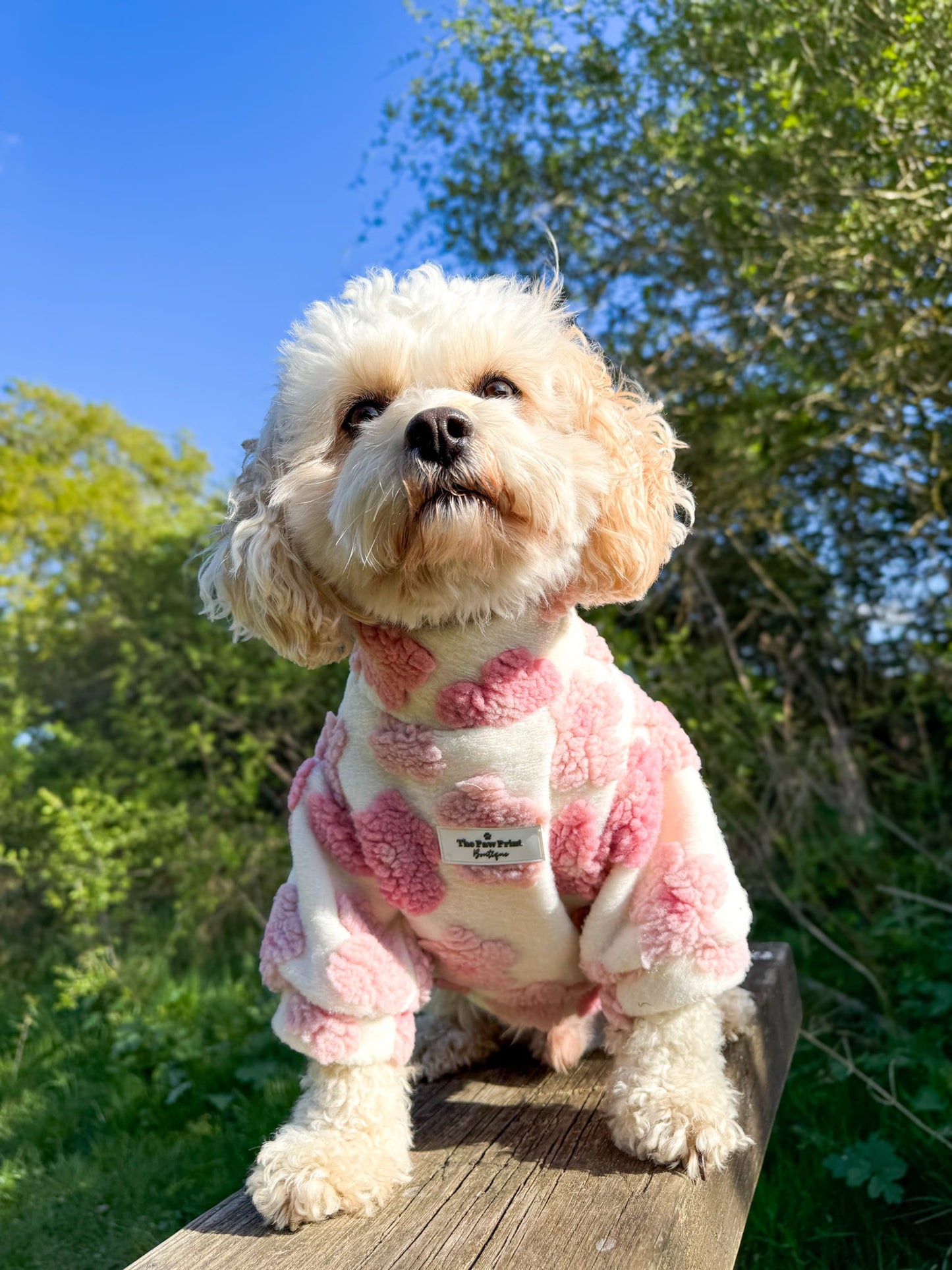 The Peony Pink Floral Fleece