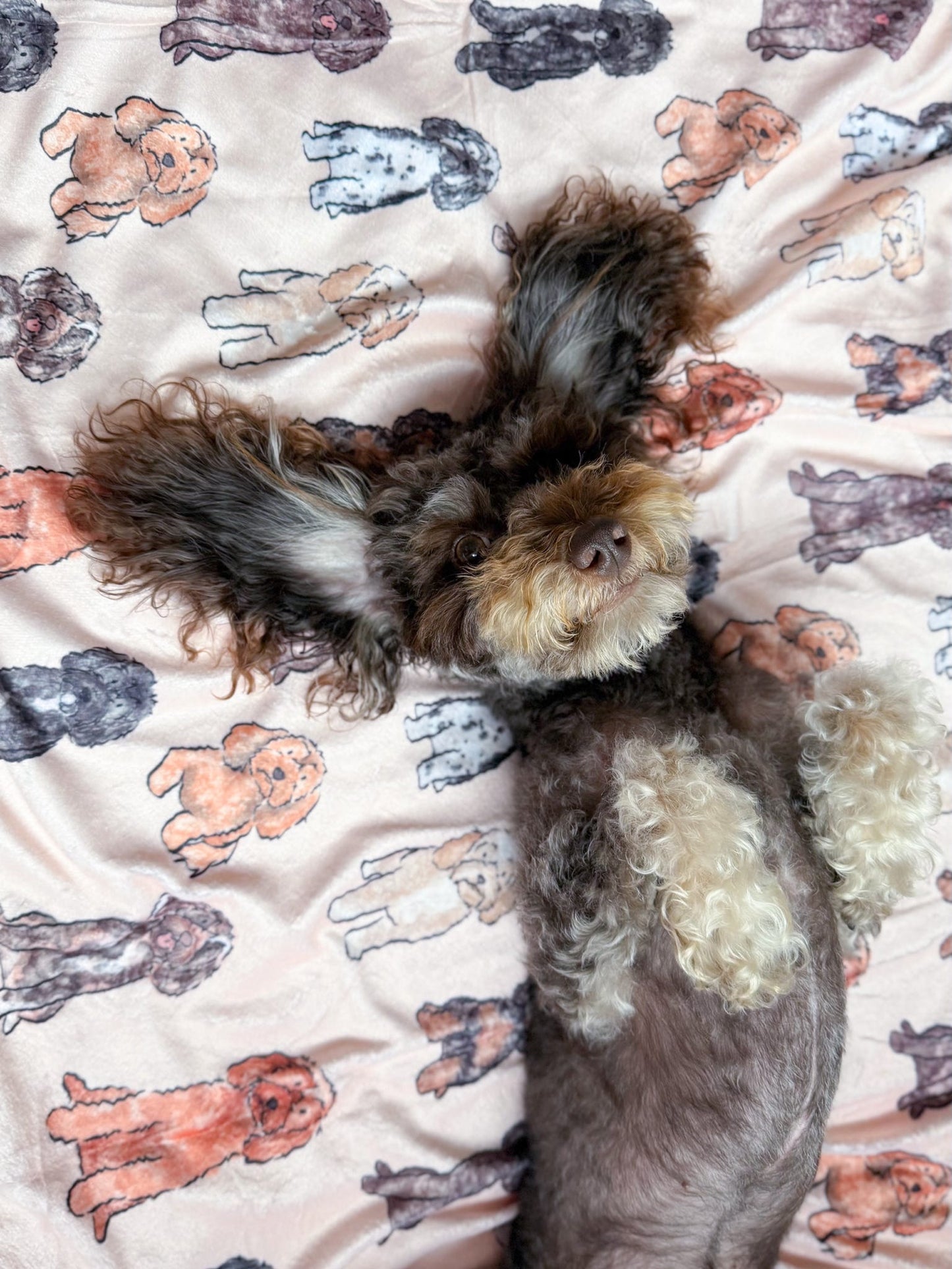The Oodles & Doodles Dog Blanket