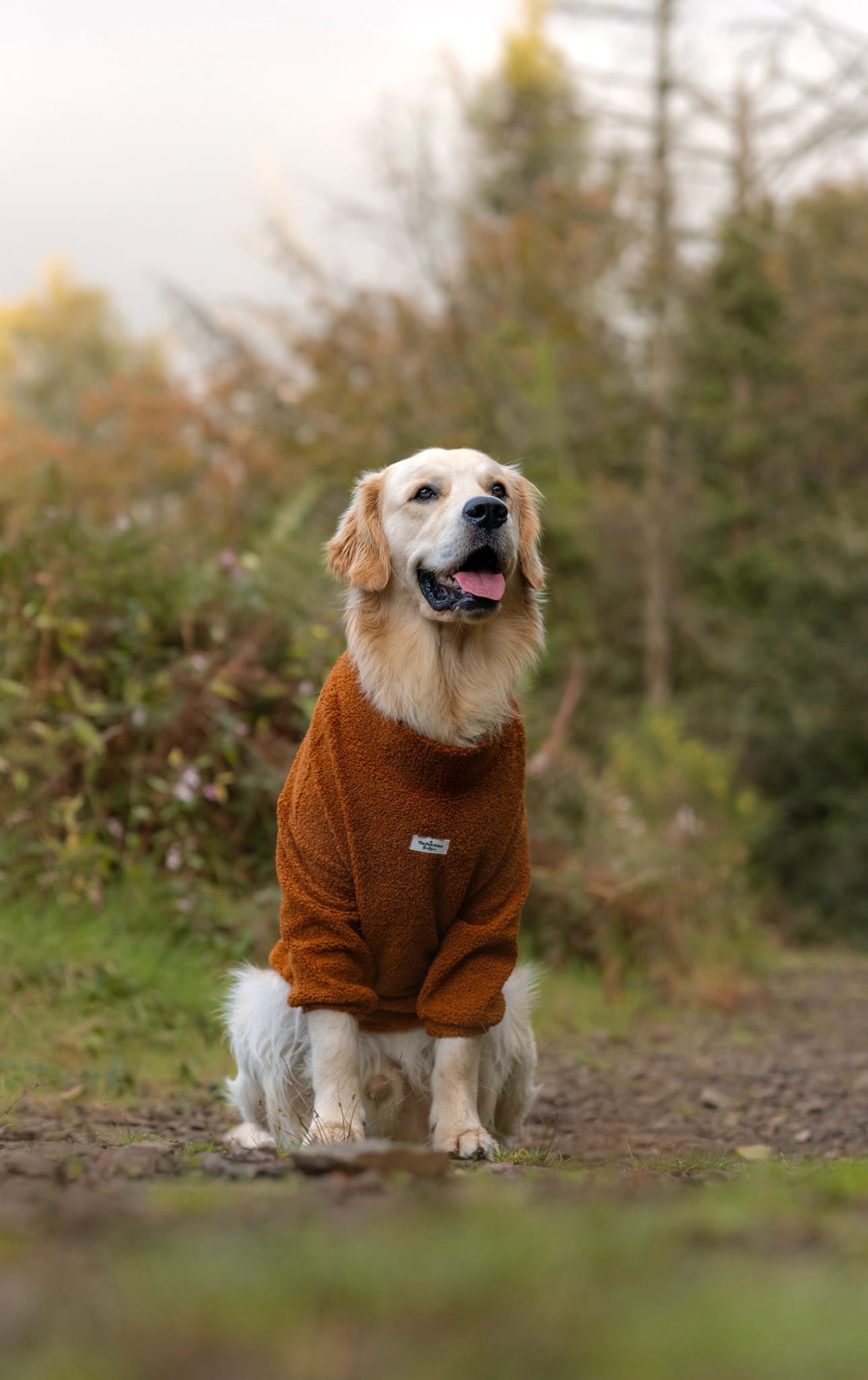 Teddy Fleece - Gingerbread