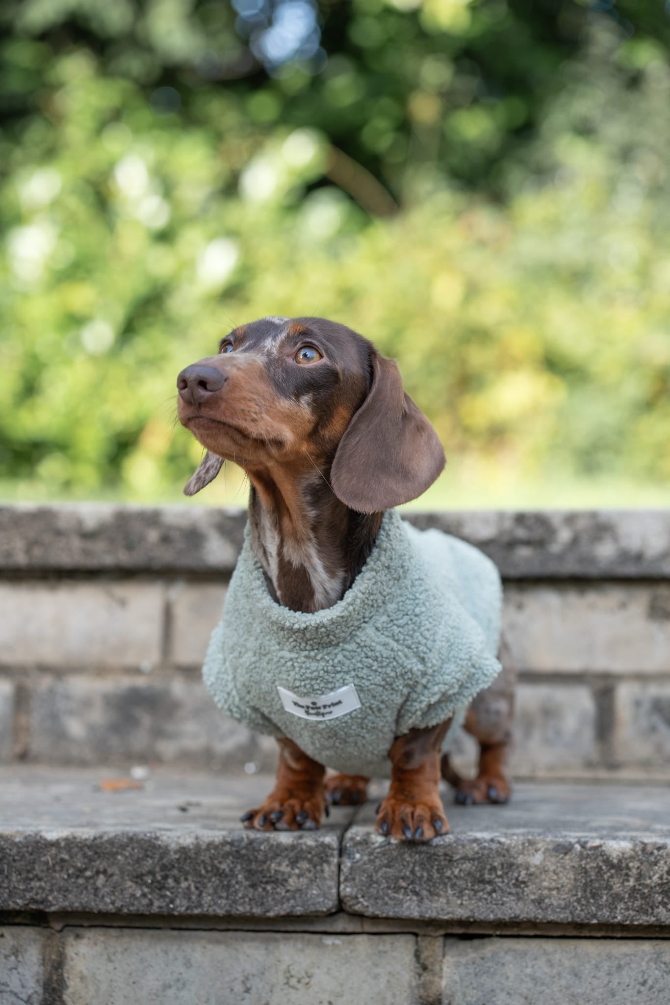 Teddy Fleece - Sage Green