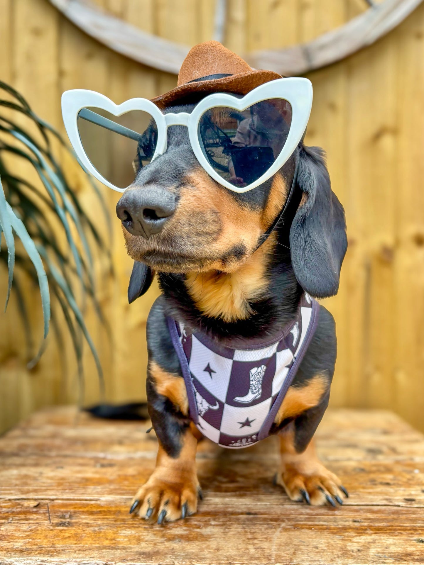 The Wild West Cooling Vest