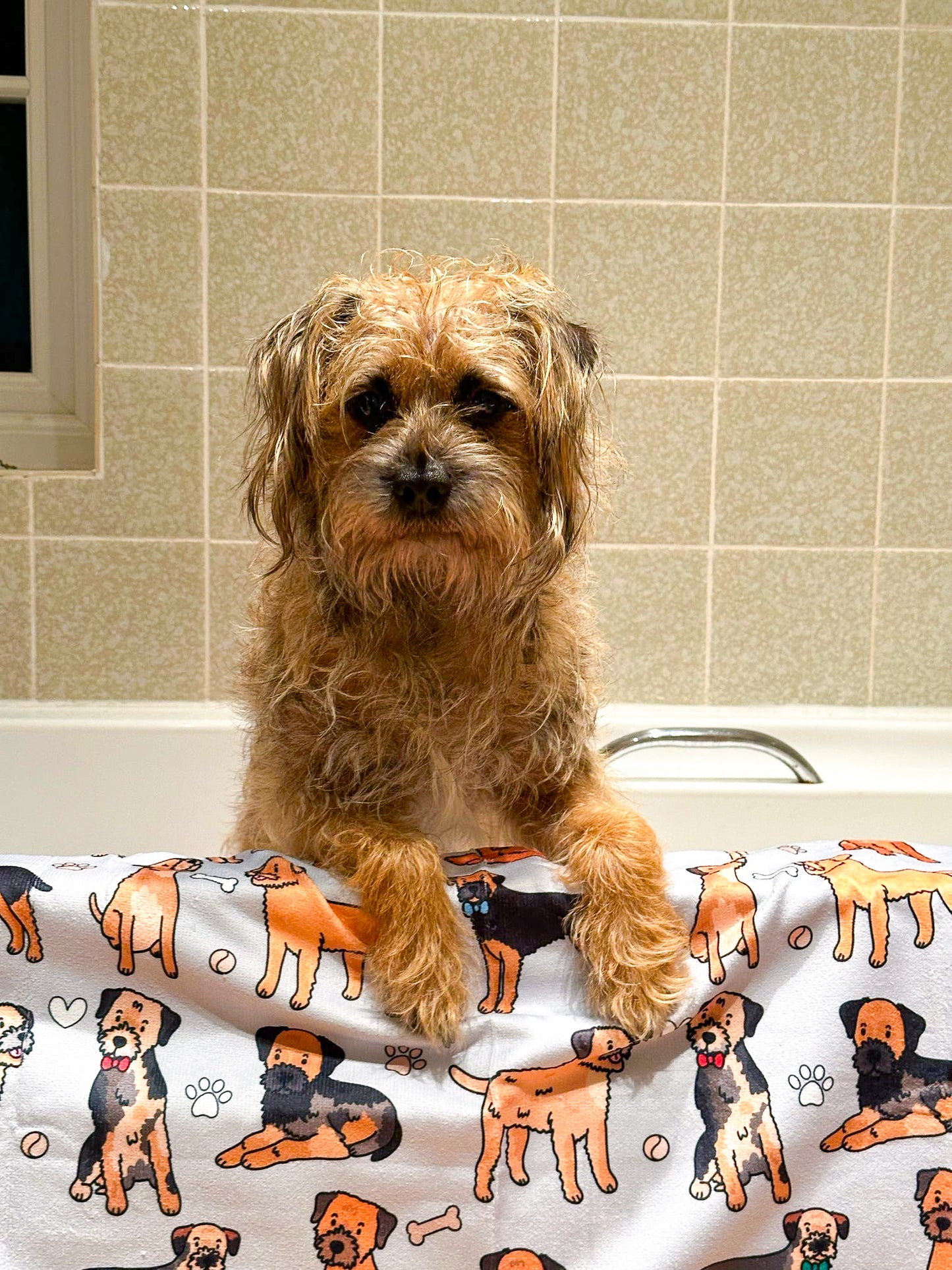 The Border Terrier Dog Towel - Grey