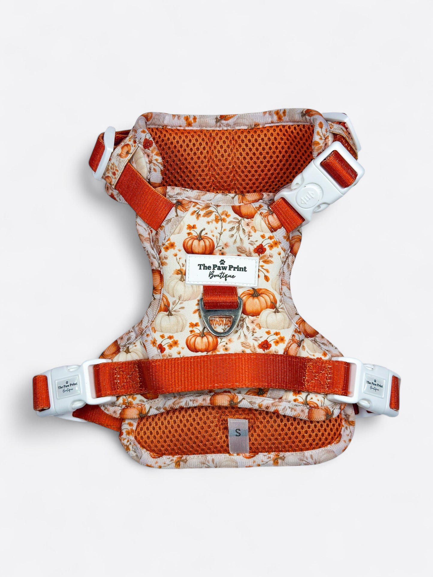 Pupkin Patch Adventure Paws Harness