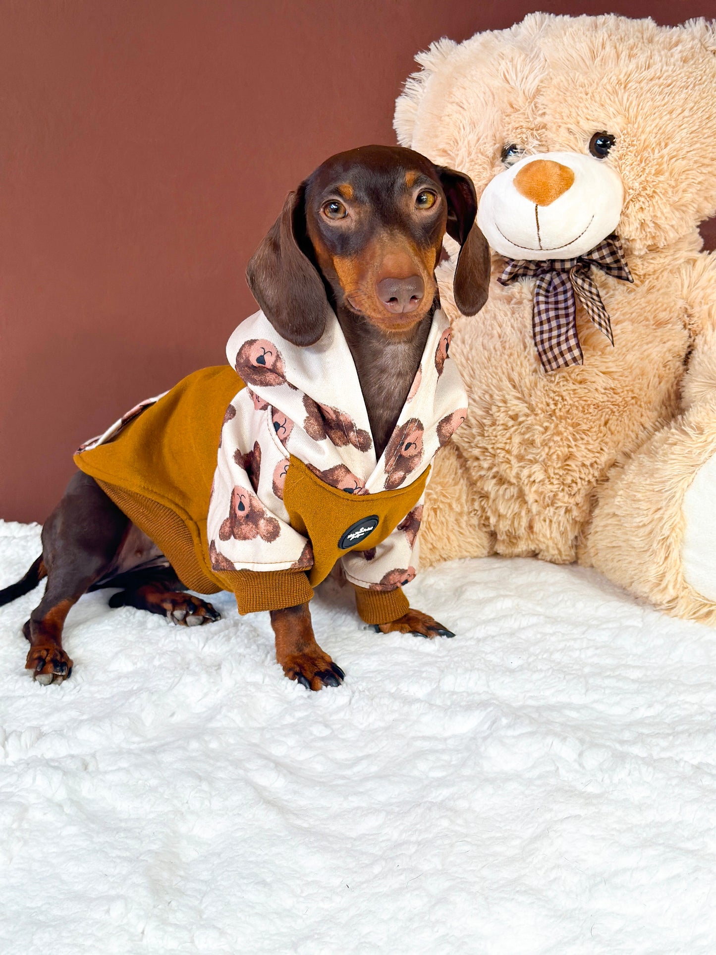 The Little Bear Cub Hoodie (Brown)