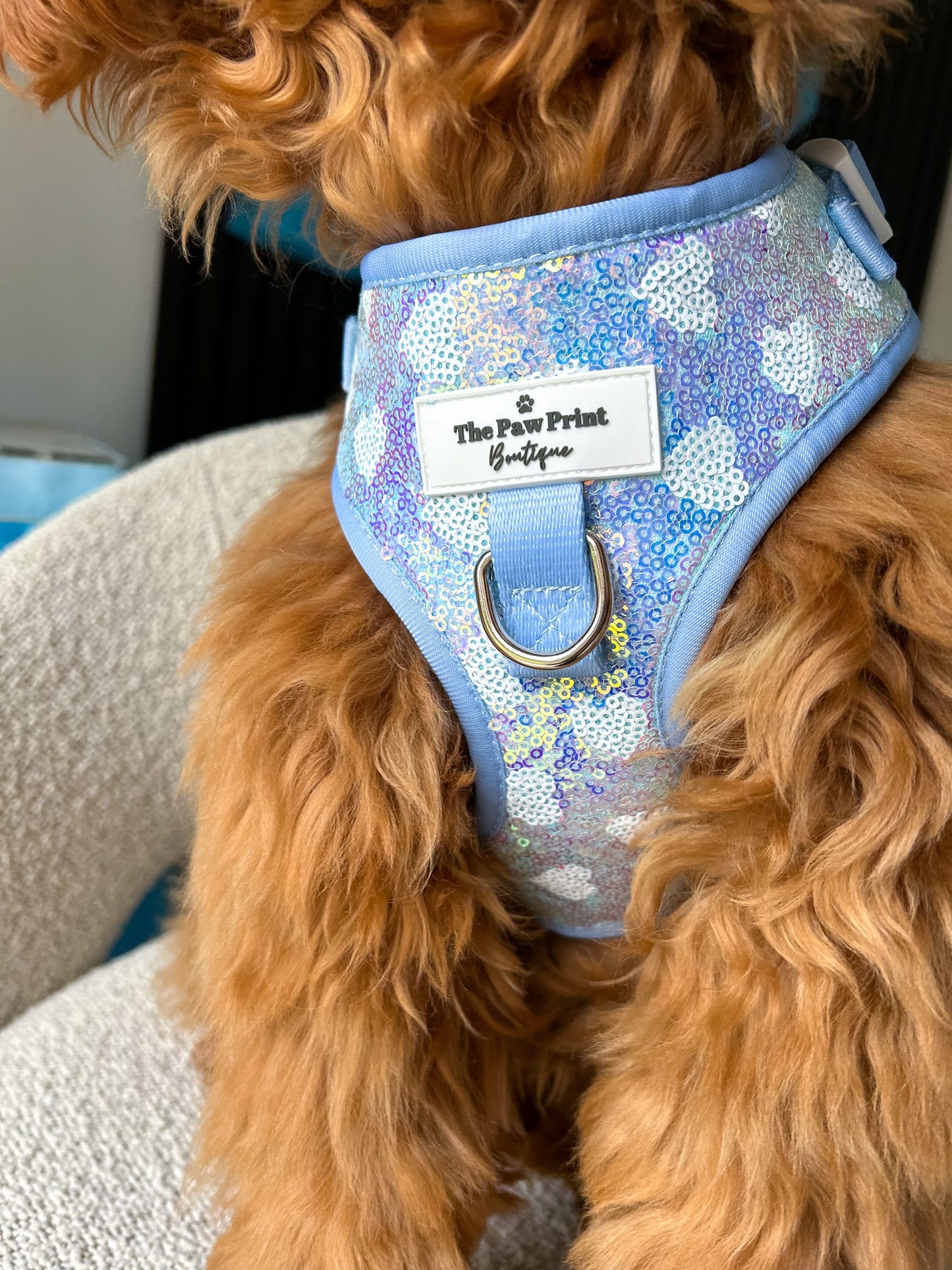 The Sassy in Sequins - Baby Blue Adjustable Harness