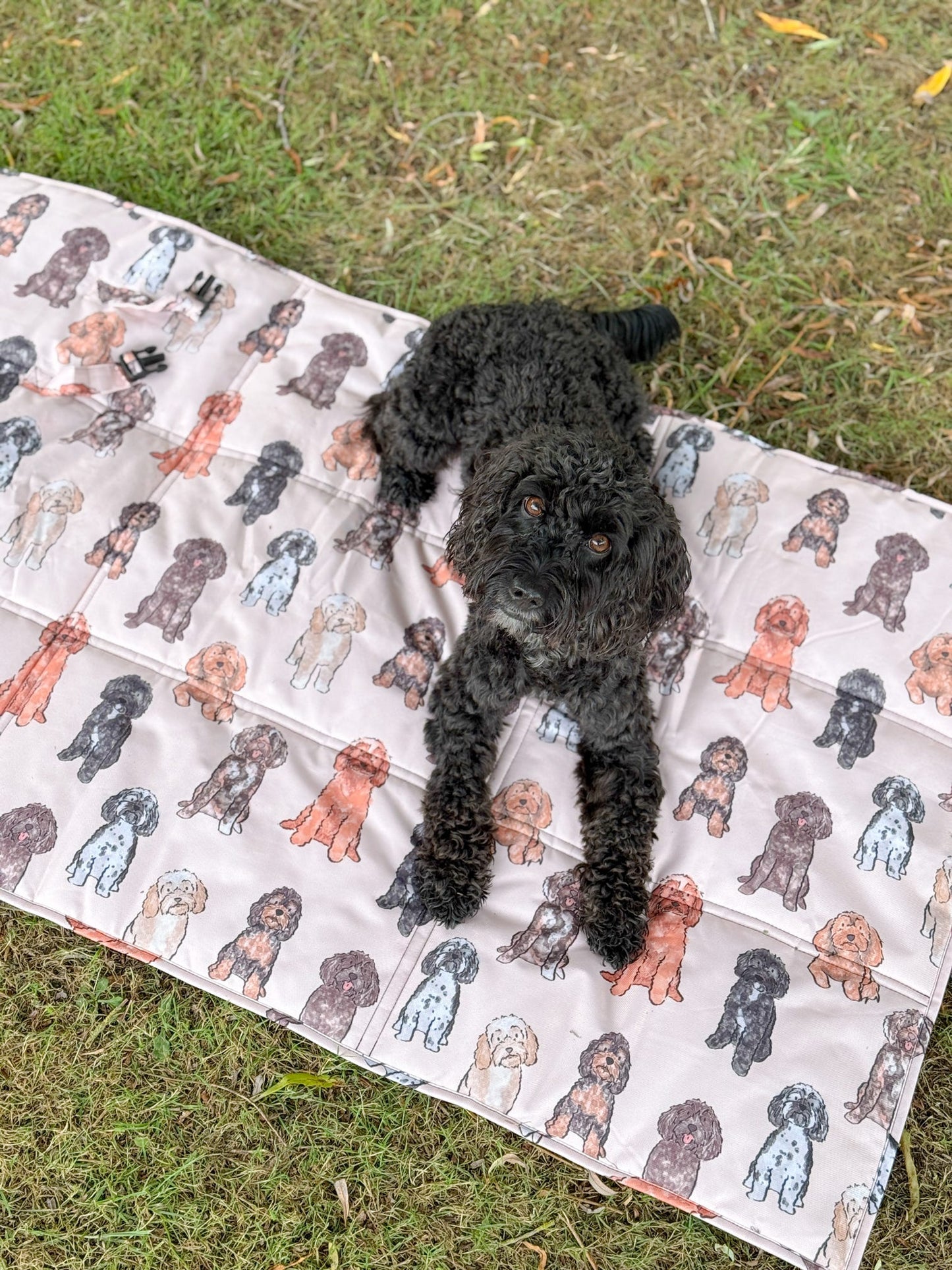 The Oodles & Doodles Travel Mat