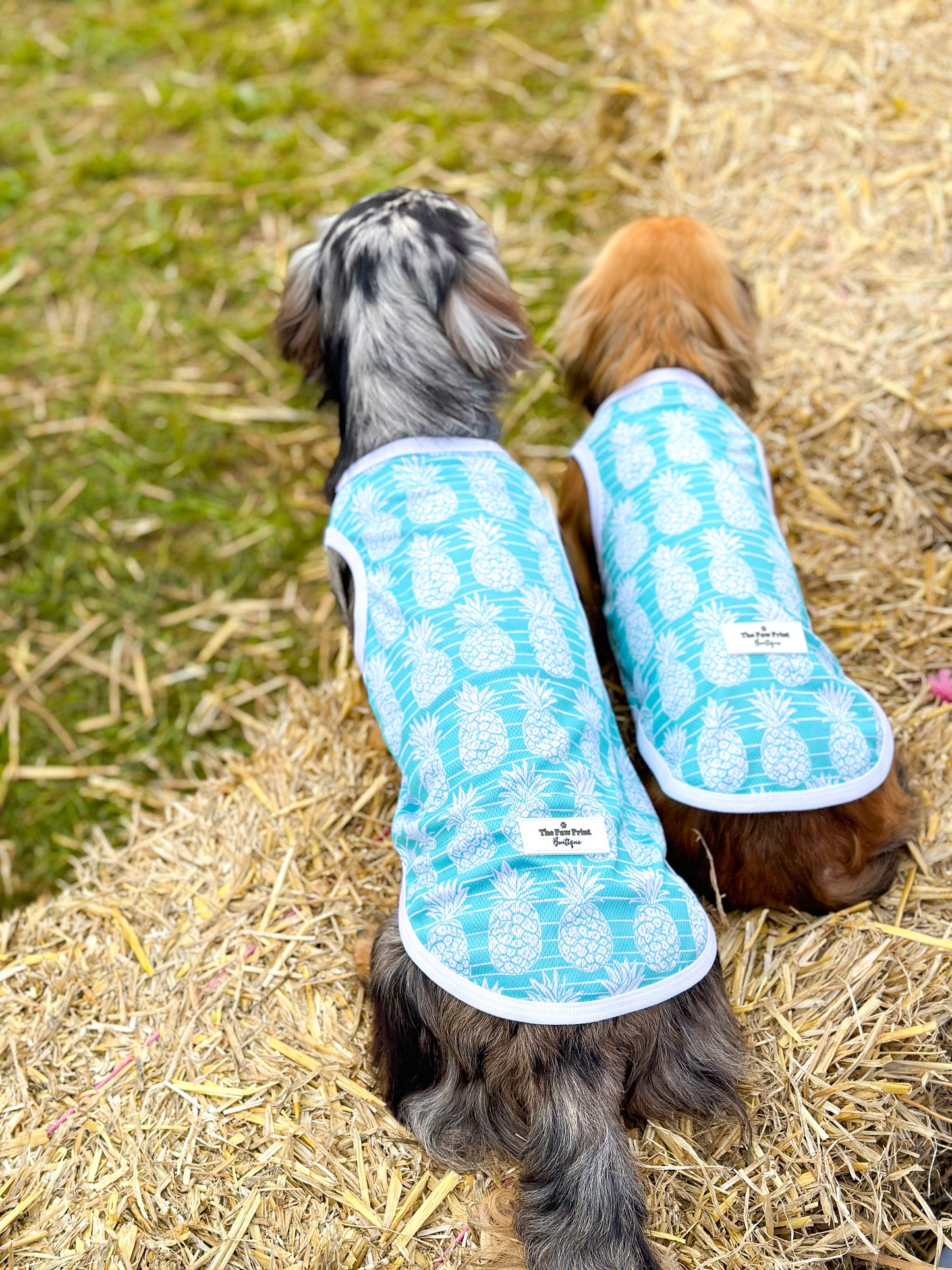 The Pineapple Pawty Cooling Vest