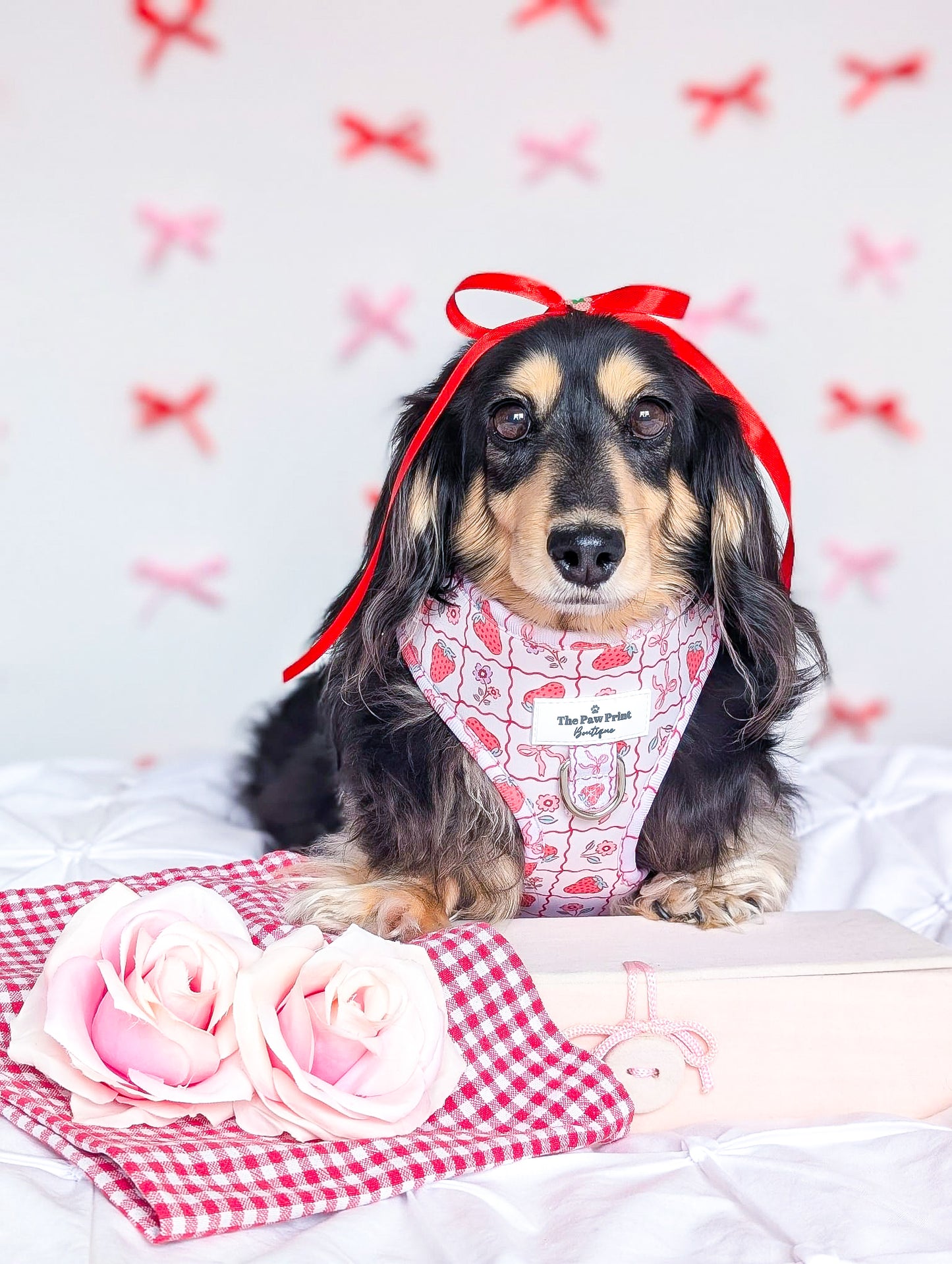 The Bows & Berries Adjustable Harness