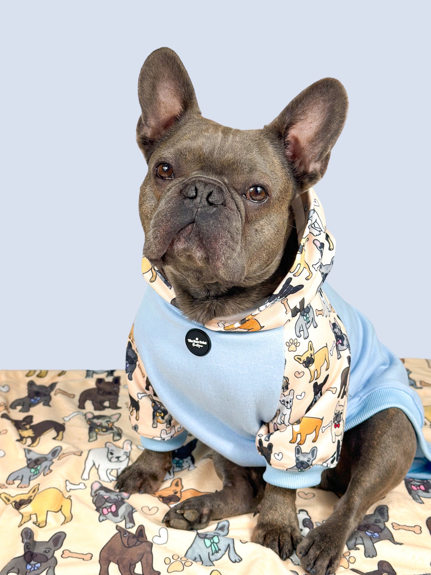 The French Bulldog Dog Hoodie - Baby Blue