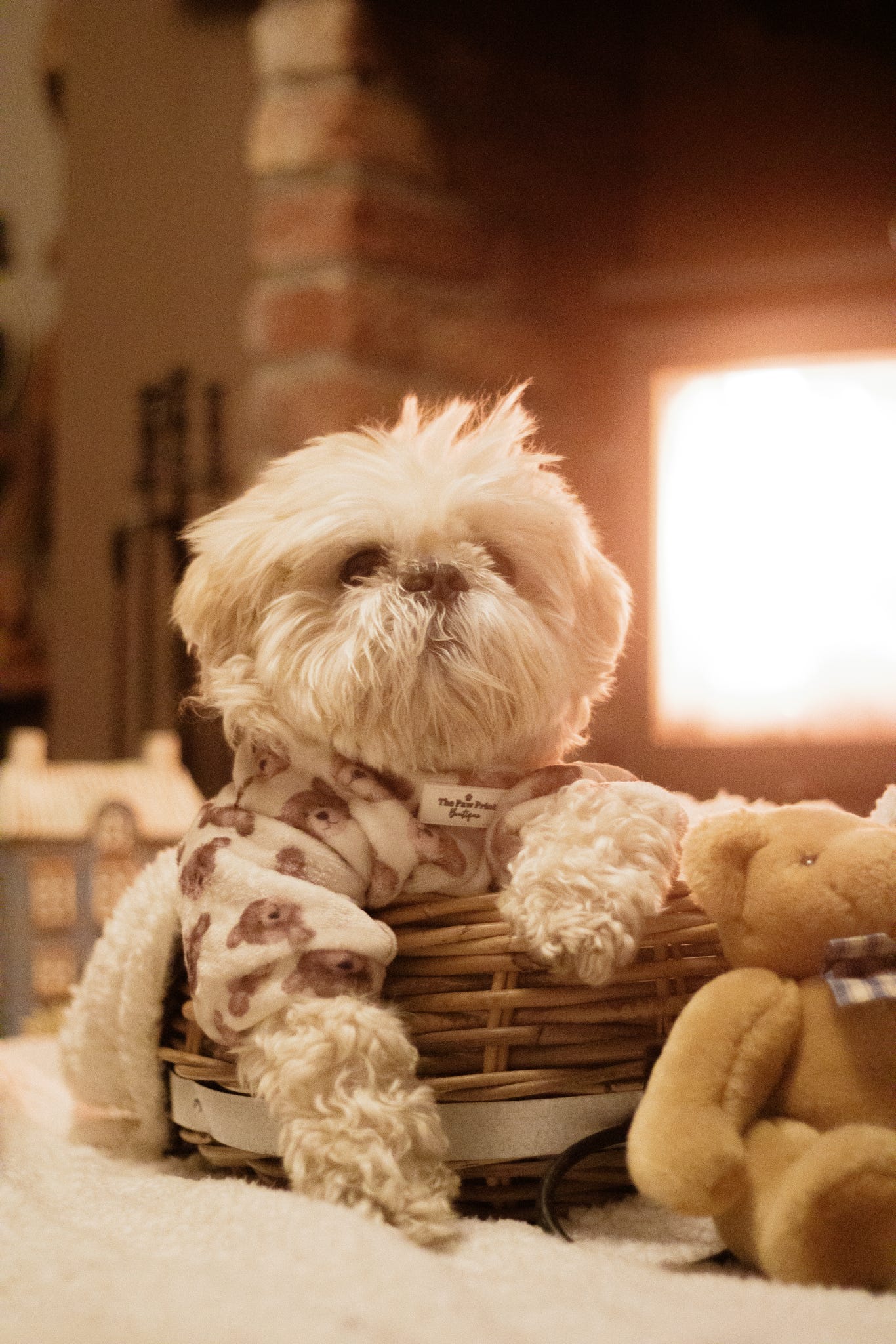 Little Bear Cub Snuggle Fleece