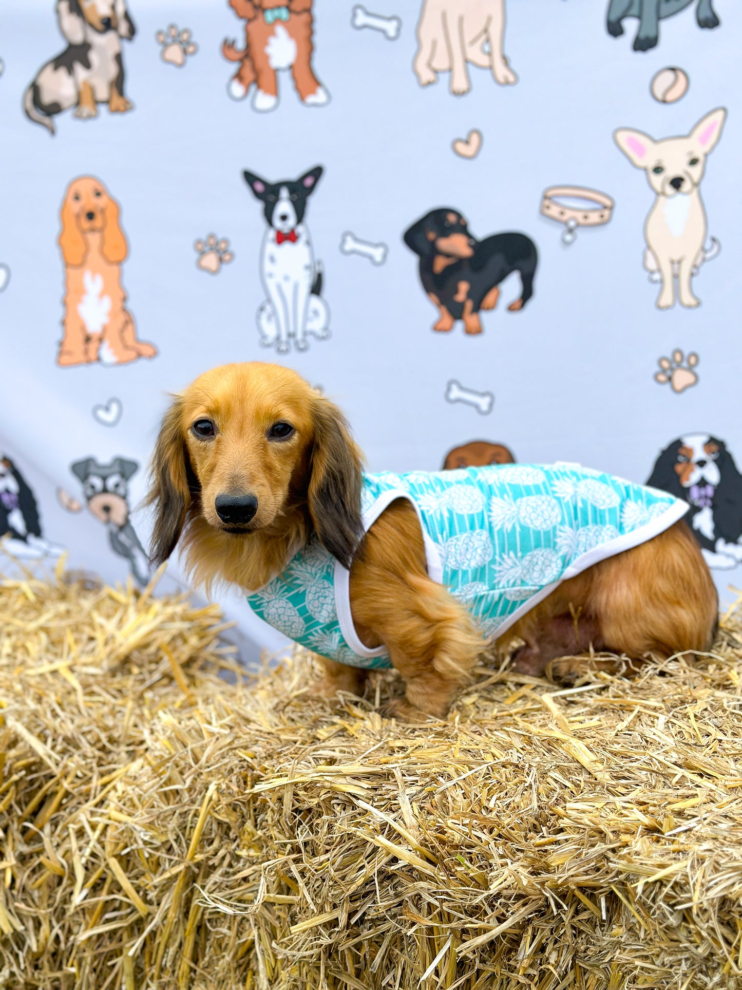 The Pineapple Pawty Cooling Vest