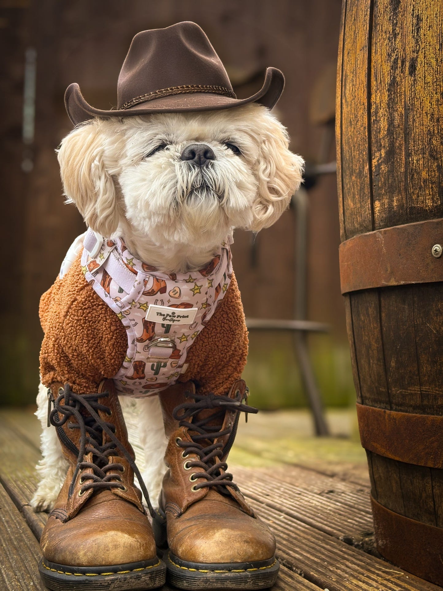 The Howdy Pawtner Adventure Paws Harness