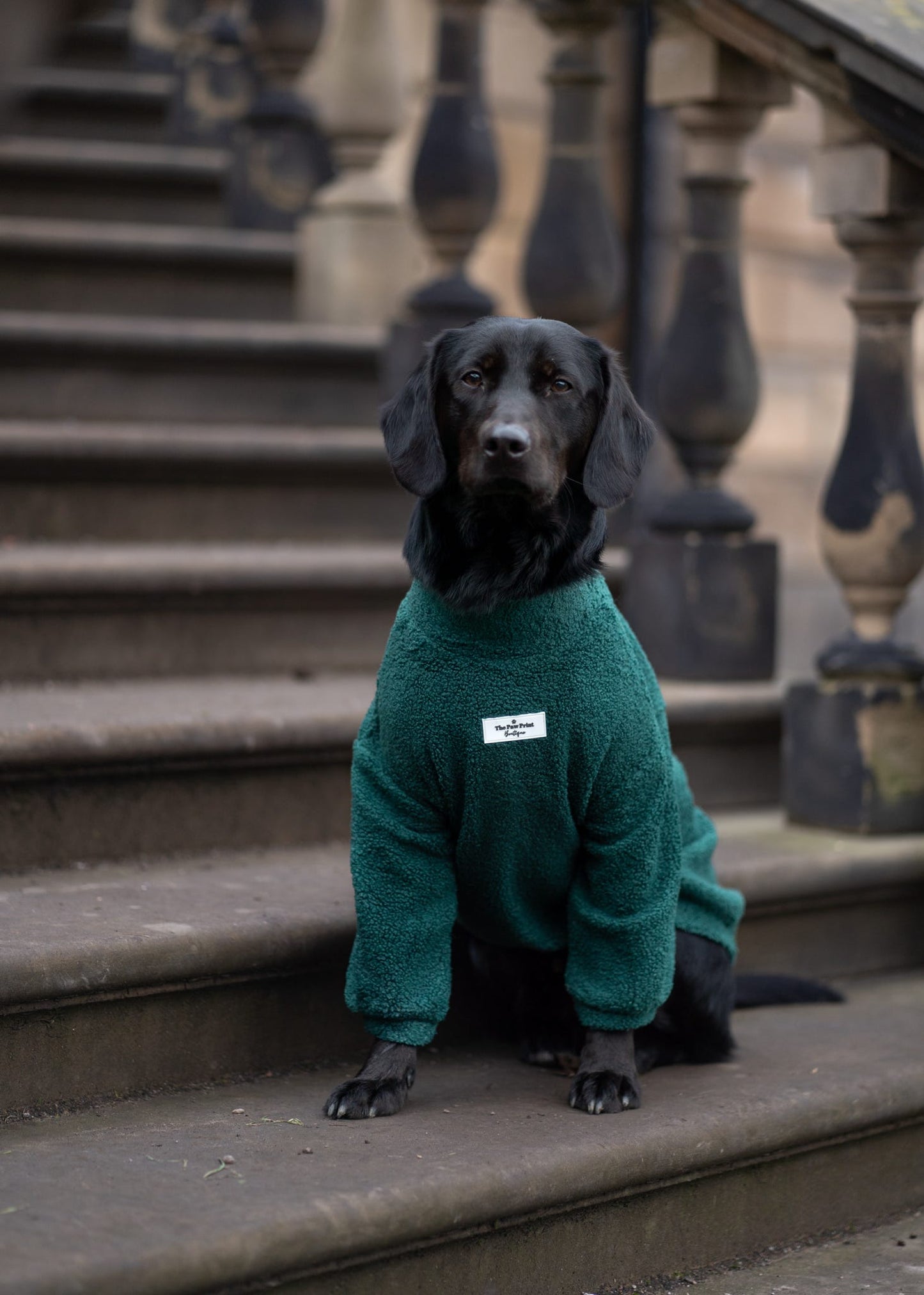 Teddy Fleece - Forest Green