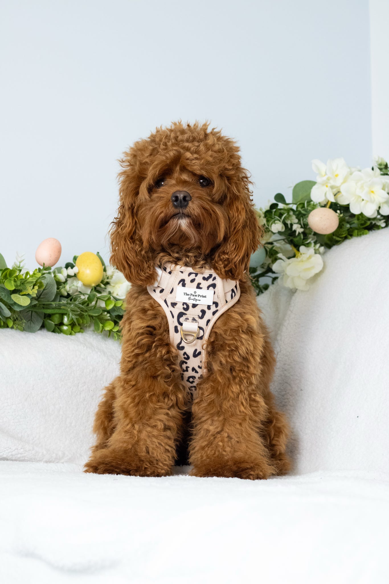 The Luxe Leopard (Beige) Adventure Paws Harness