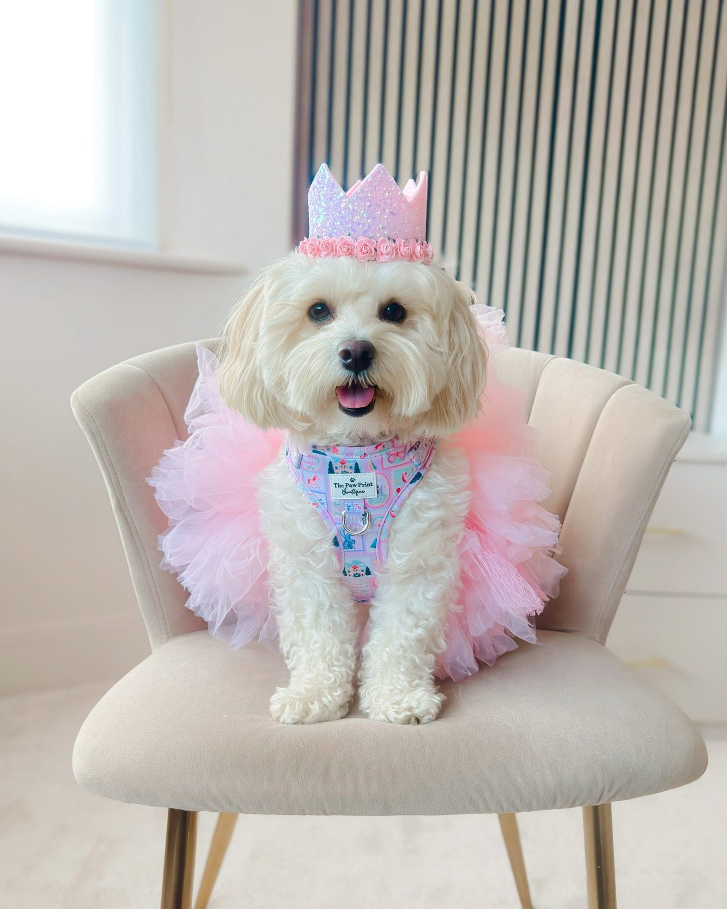 The Once Upon a Pup Adjustable Harness