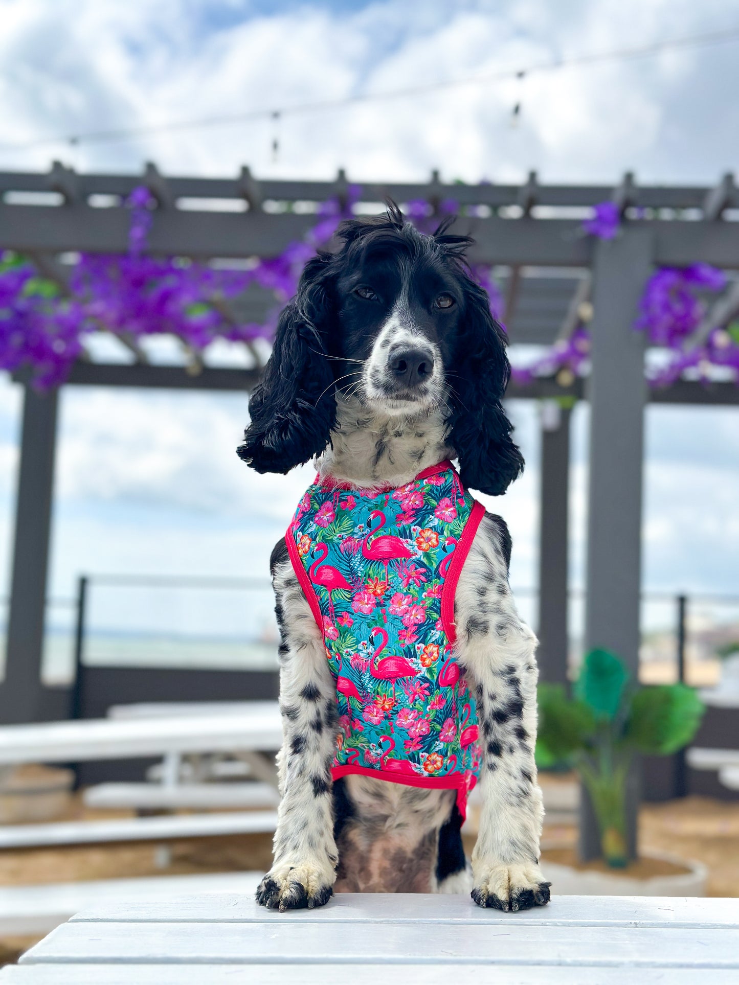 The Tropical Pawradise Cooling Vest