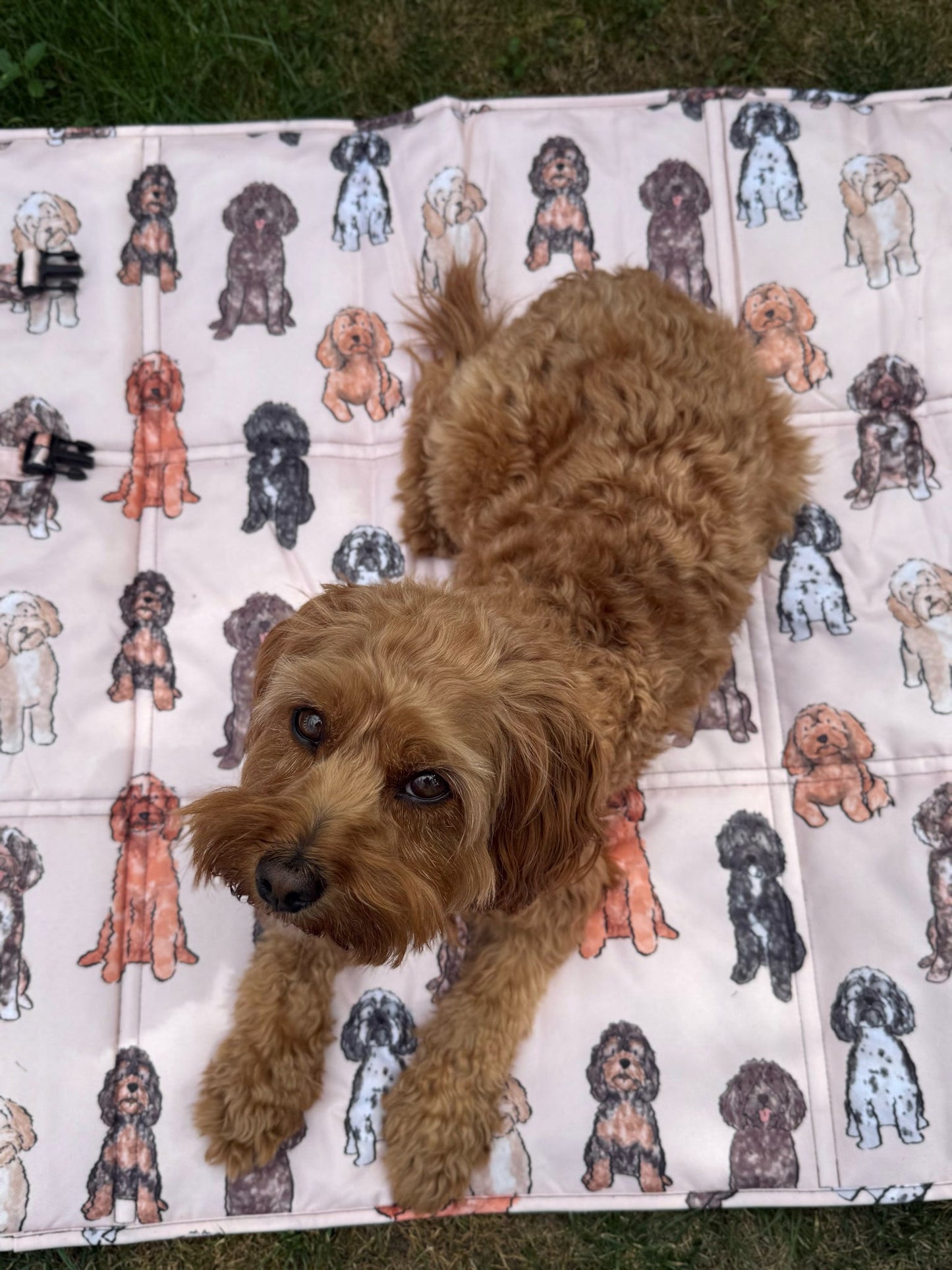 The Oodles & Doodles Travel Mat