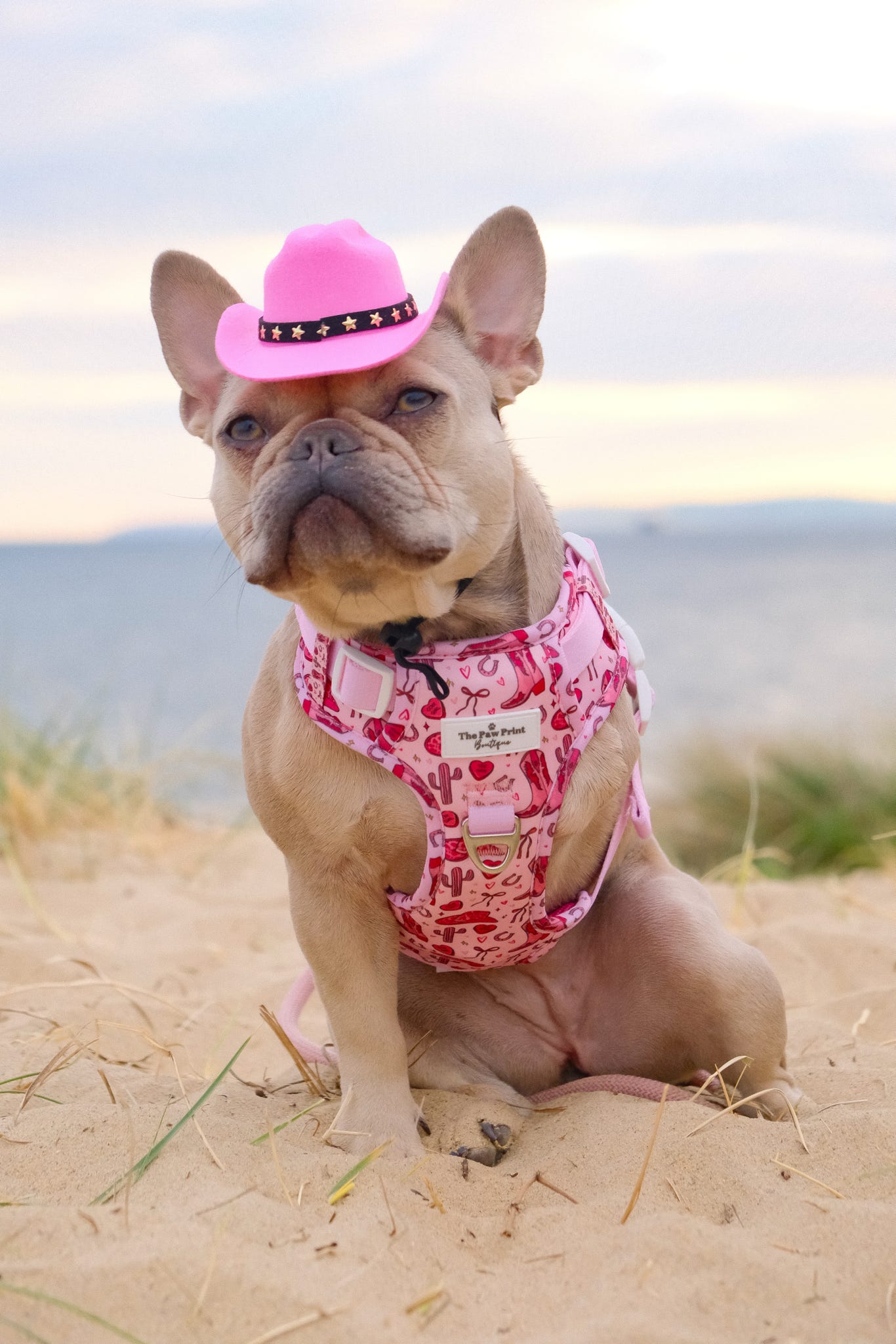 The Giddy up Pup Adventure Paws Harness