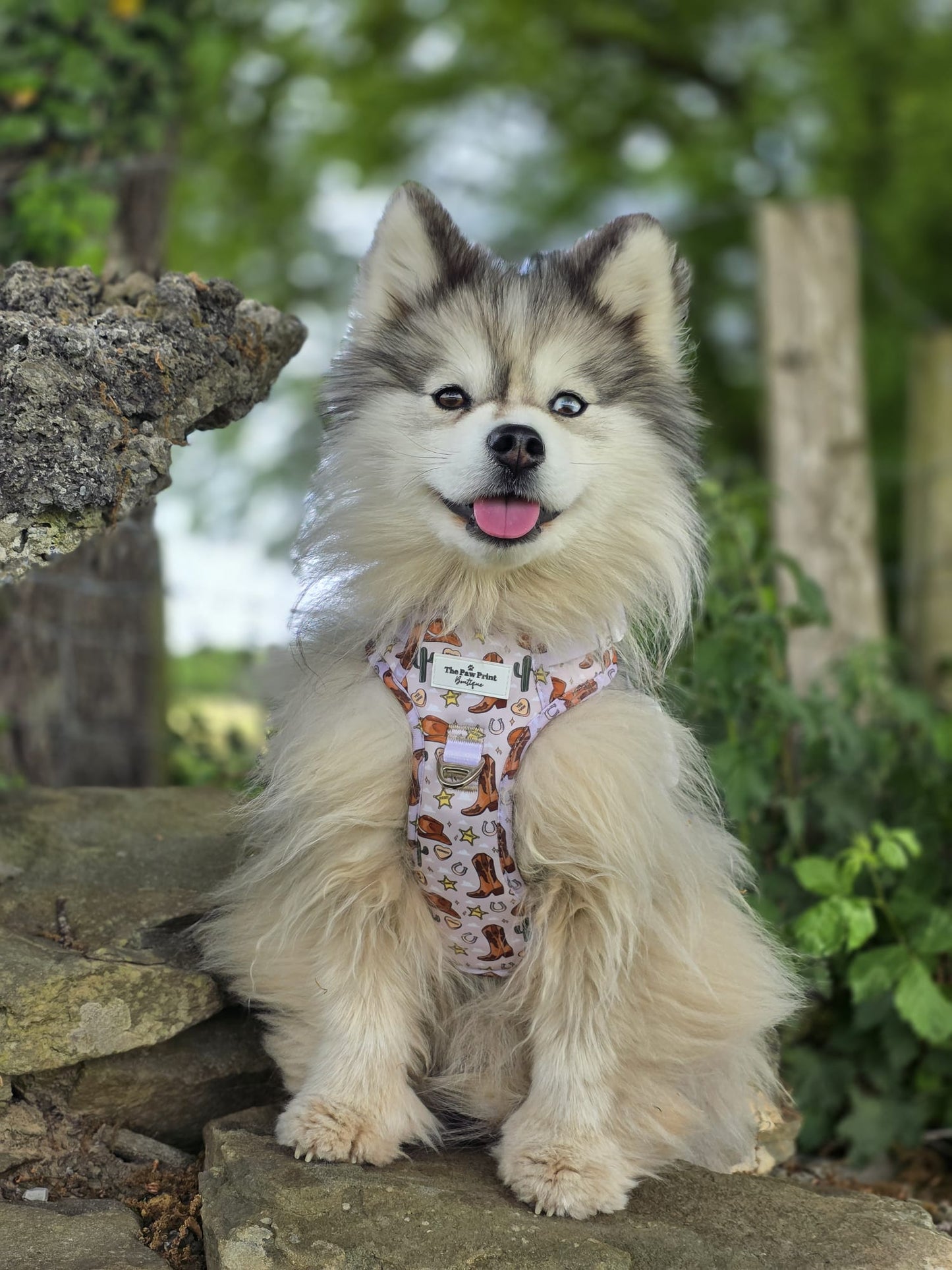The Howdy Pawtner Adventure Paws Harness