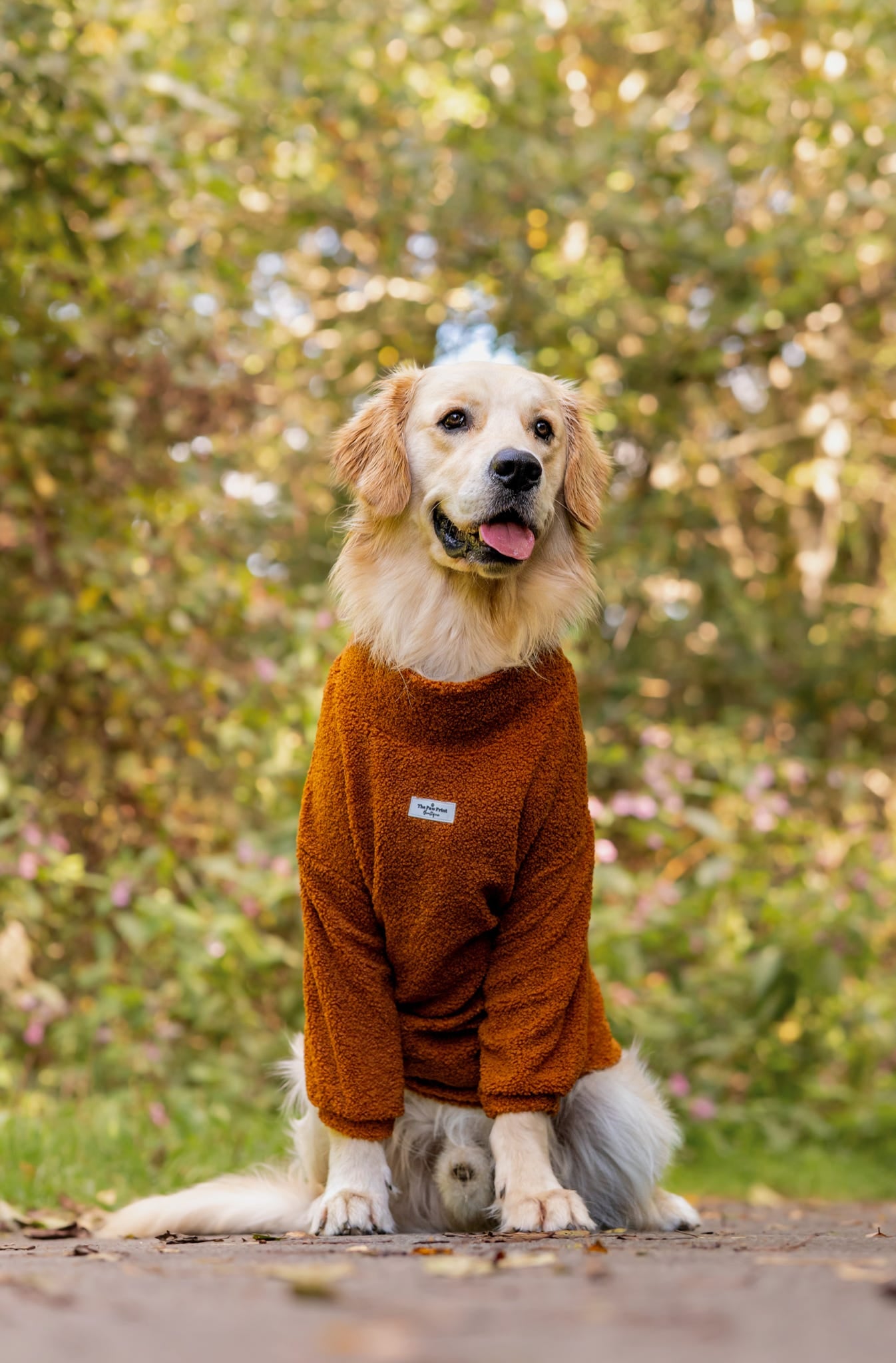Teddy Fleece - Gingerbread