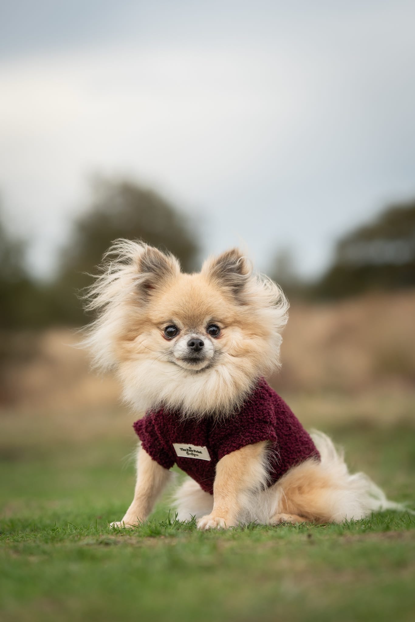 Teddy Fleece - Cherry