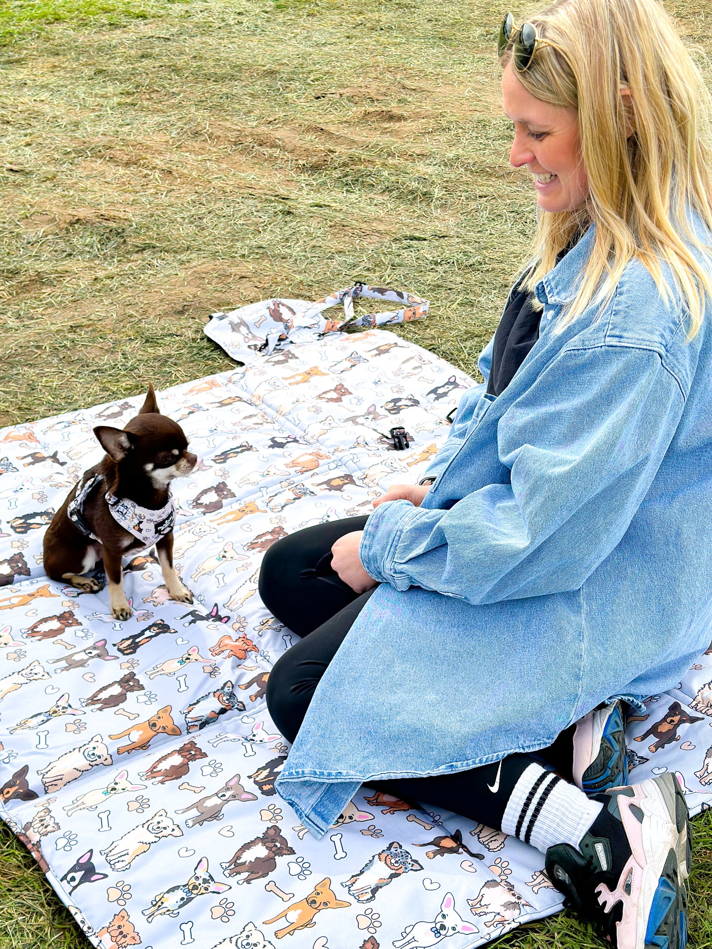 The Chihuahua Picnic Mat