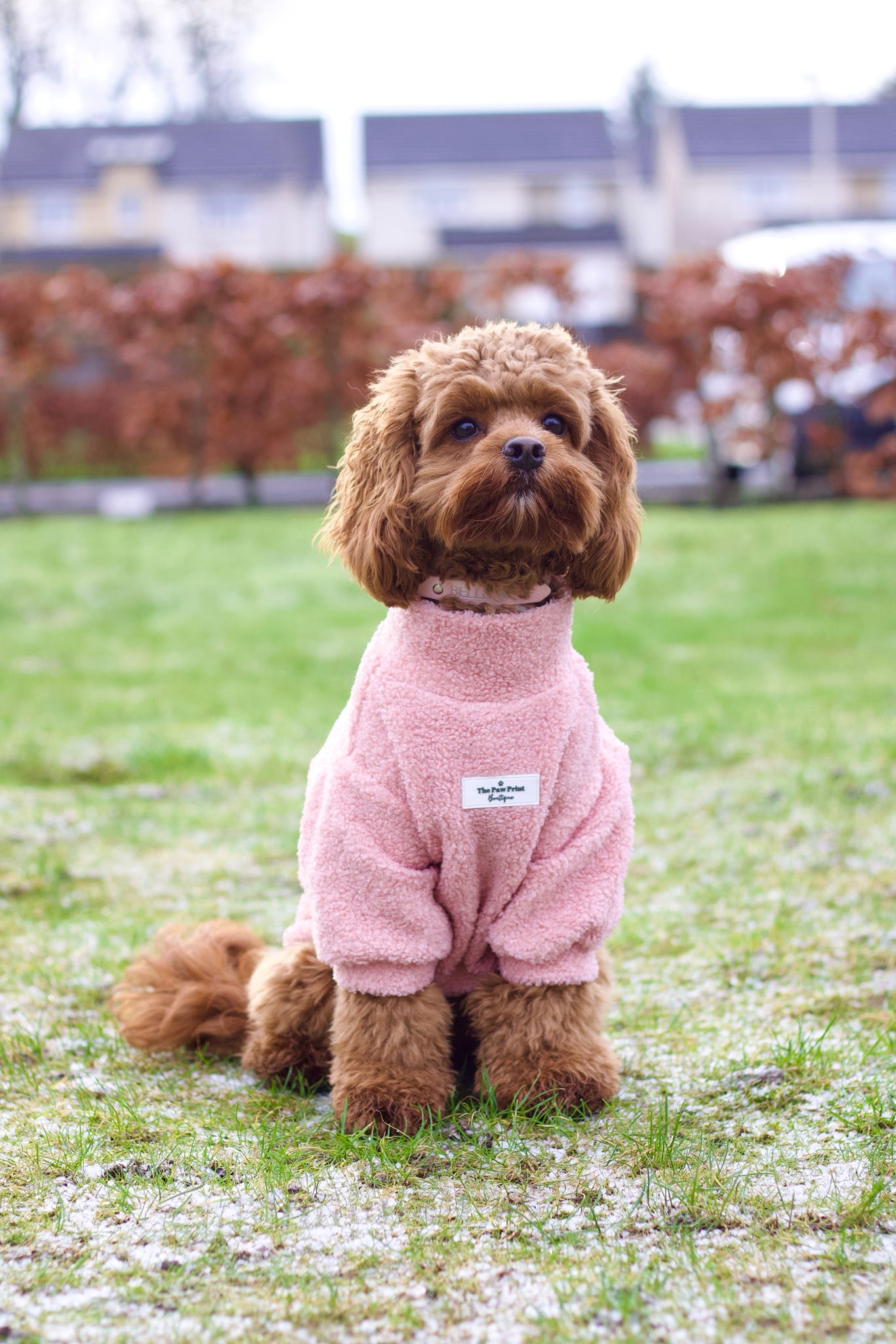 Teddy Fleece - Bubblegum Pink
