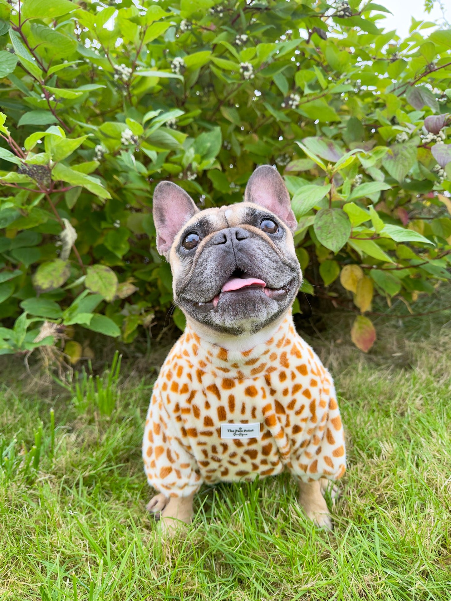 The Giraffe Print Fluffy & Fabulous Fleece