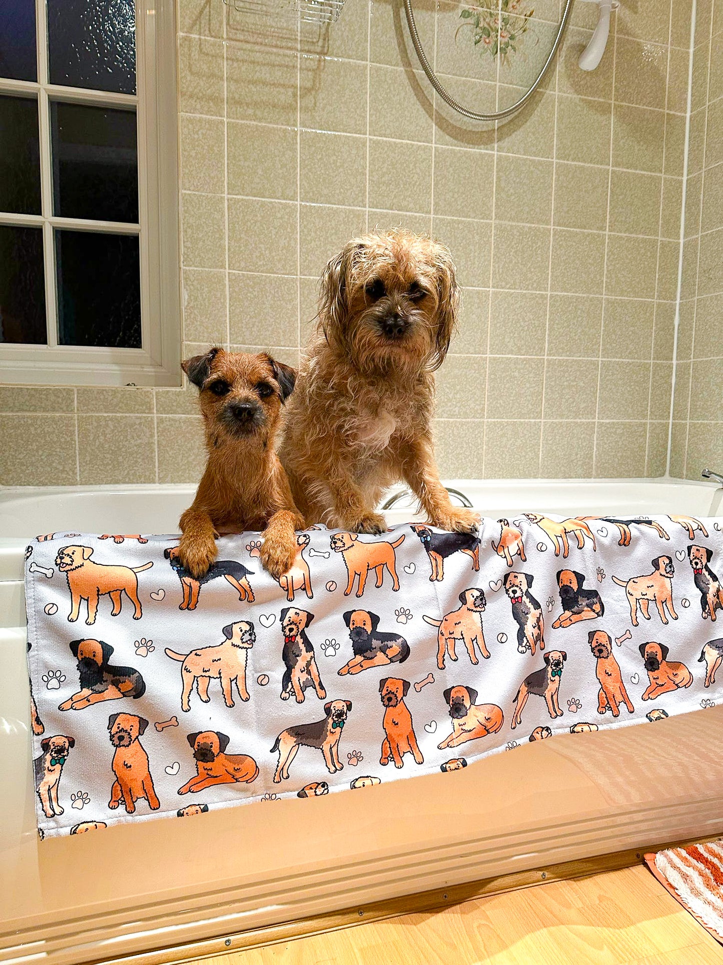 The Border Terrier Dog Towel - Grey