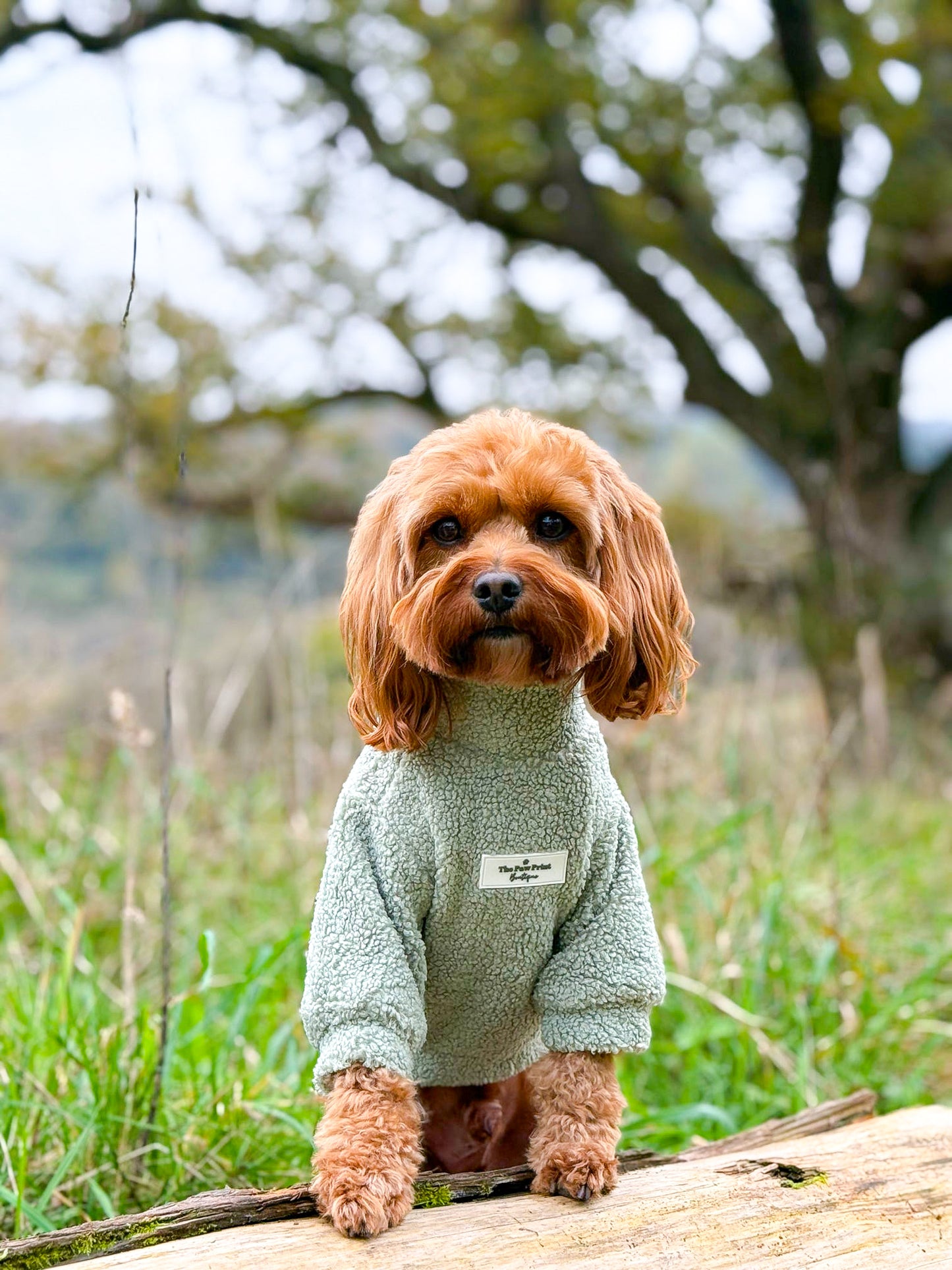 Teddy Fleece - Sage Green