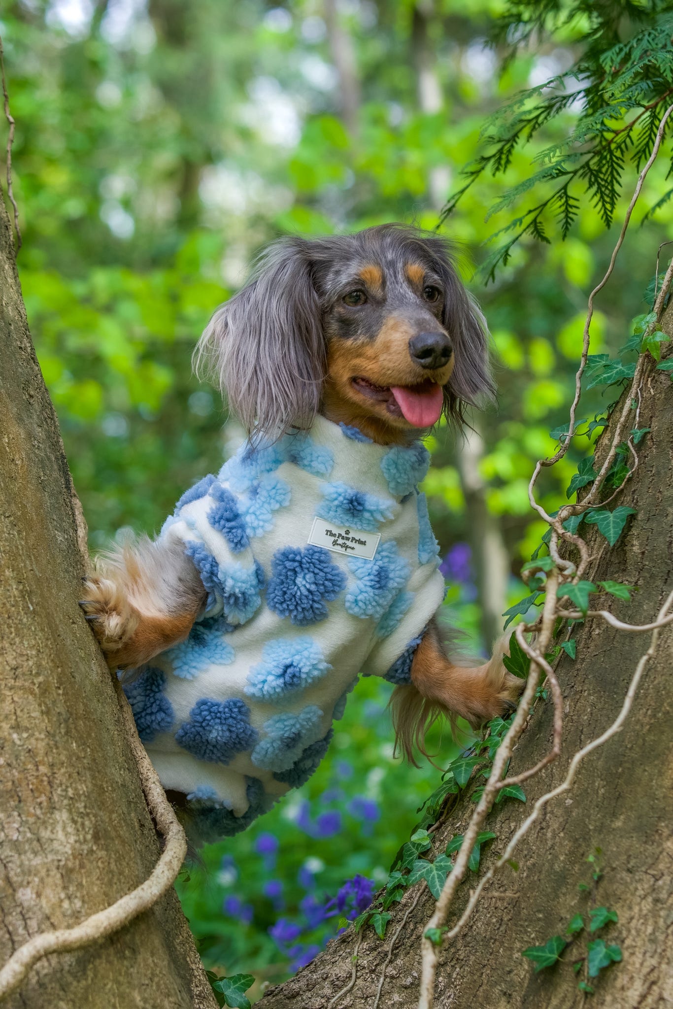 The Bluebell Blue Floral Fleece