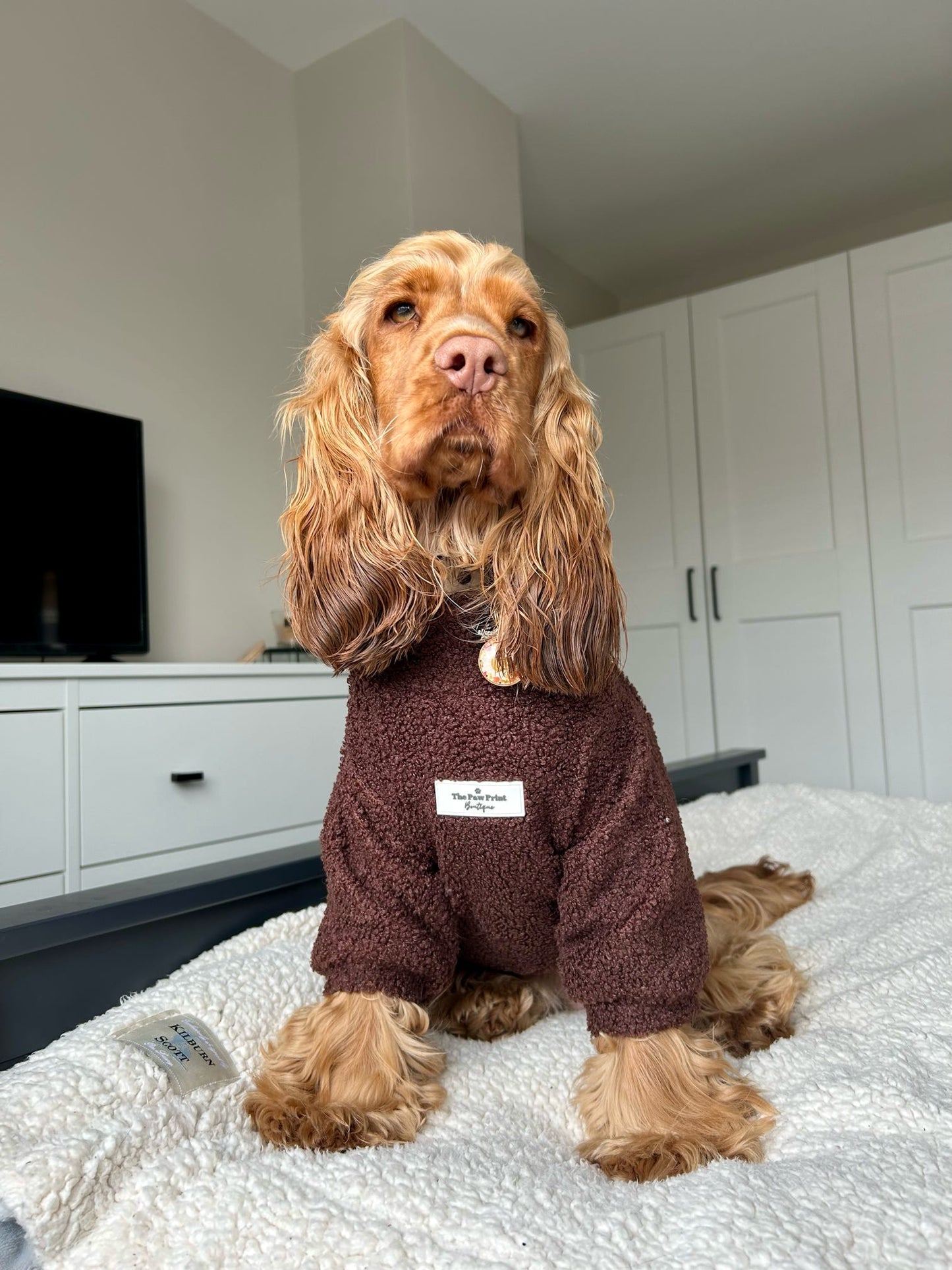 Teddy Fleece - Chocolate