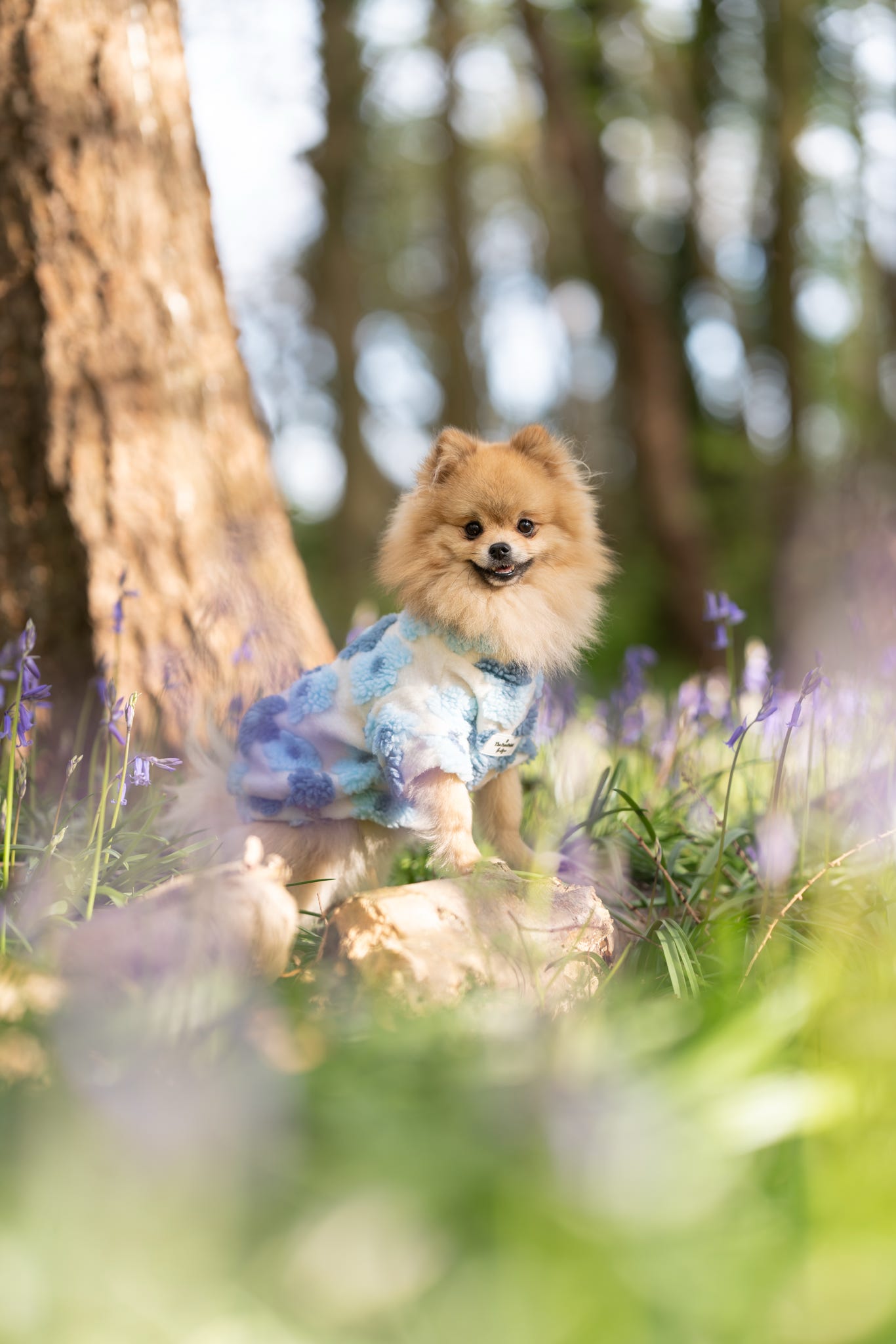 The Bluebell Blue Floral Fleece